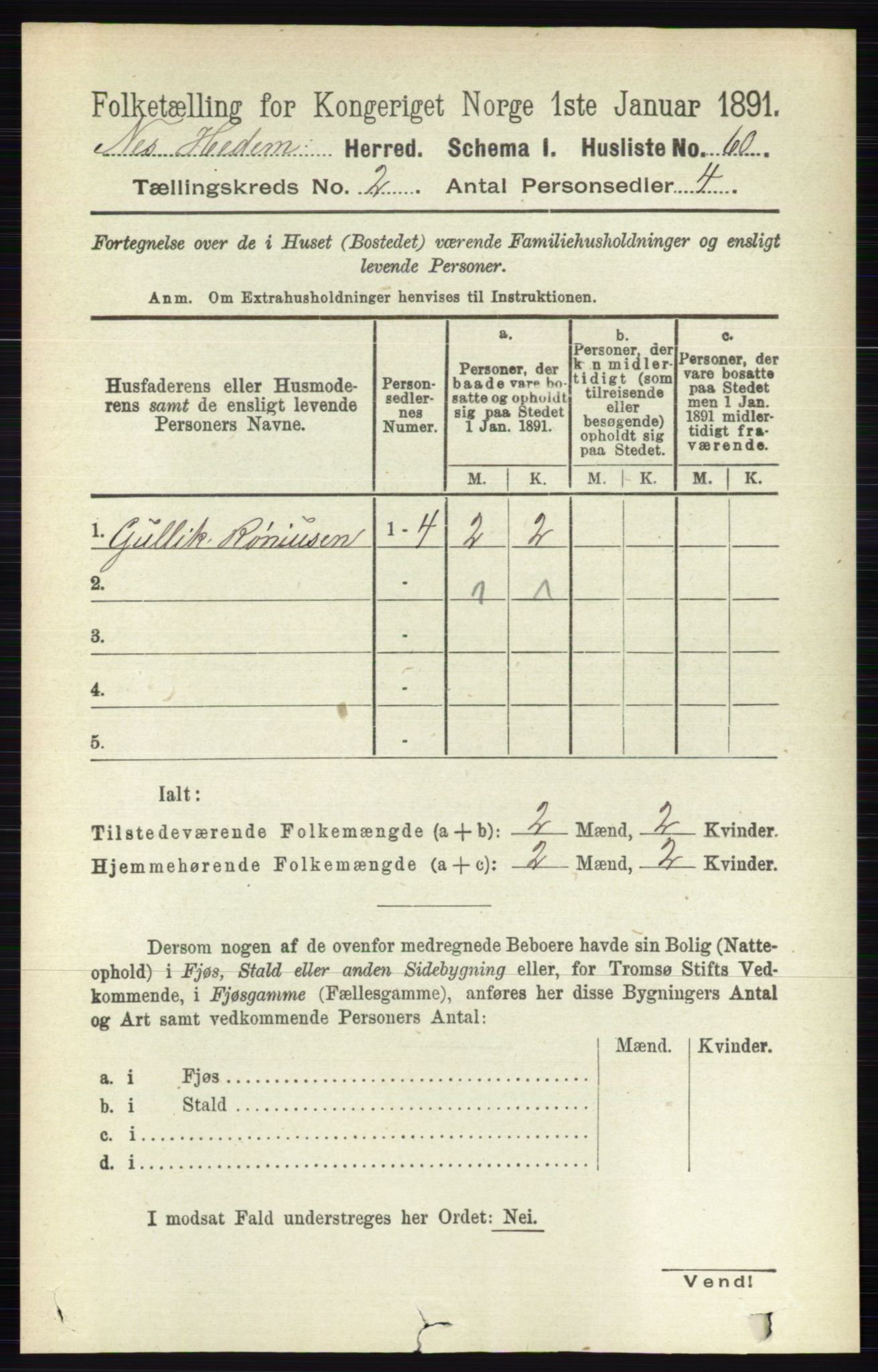 RA, 1891 census for 0411 Nes, 1891, p. 1065