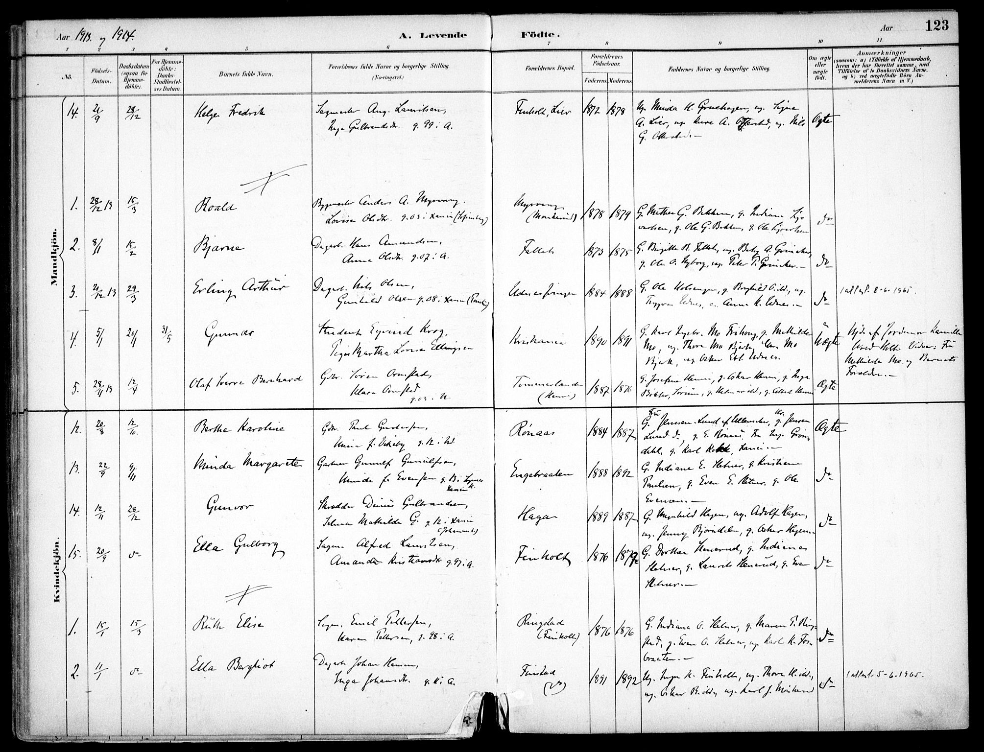Nes prestekontor Kirkebøker, SAO/A-10410/F/Fc/L0002: Parish register (official) no. IIi 2, 1882-1916, p. 123