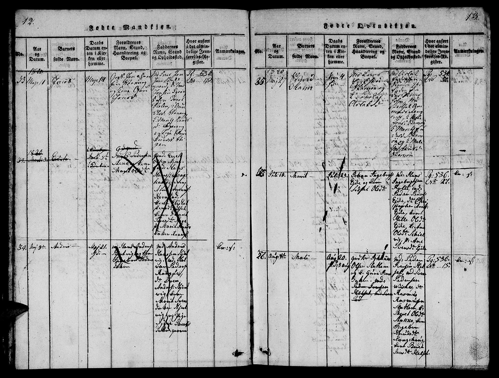 Ministerialprotokoller, klokkerbøker og fødselsregistre - Møre og Romsdal, AV/SAT-A-1454/570/L0831: Parish register (official) no. 570A05, 1819-1829, p. 12-13