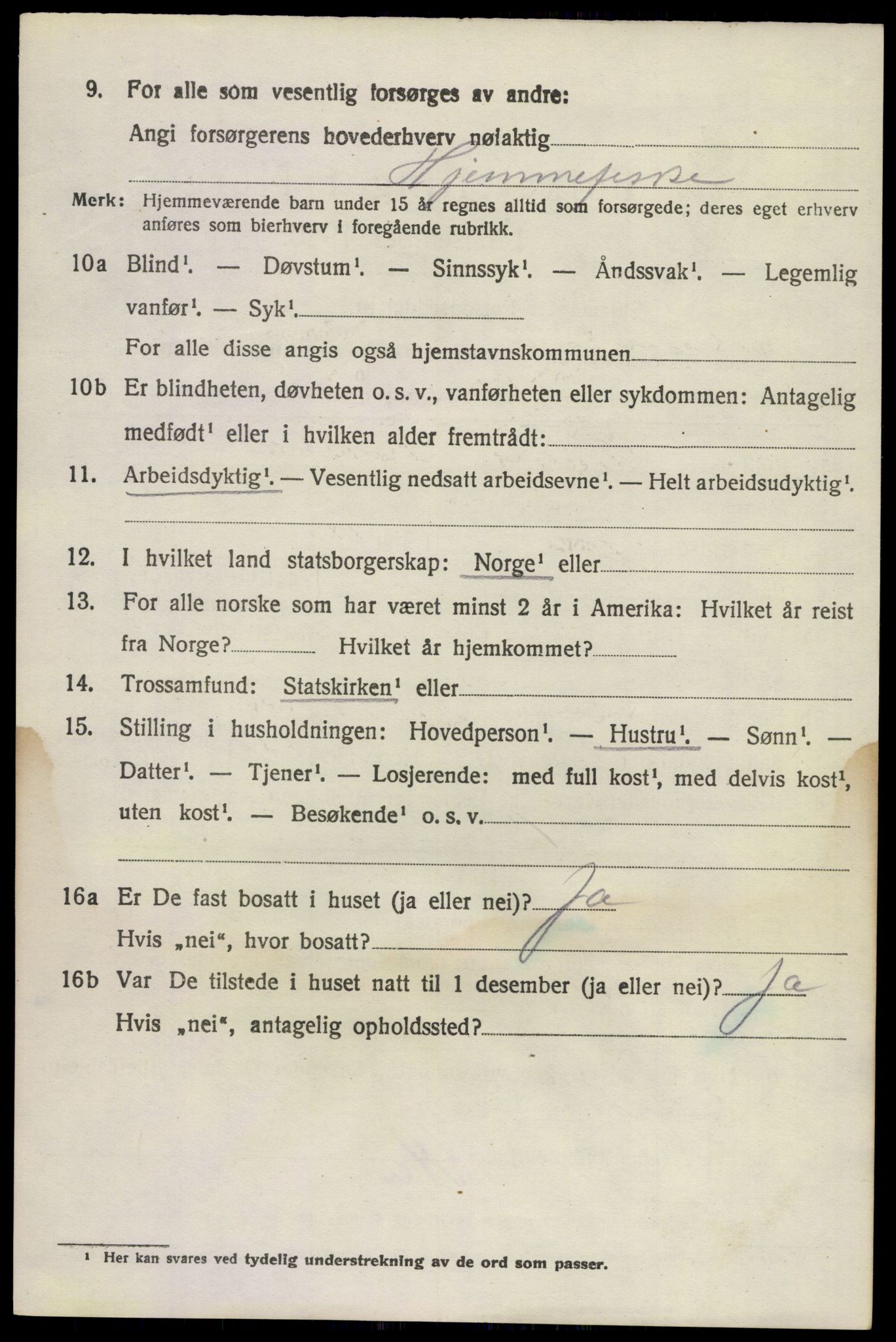 SAKO, 1920 census for Brunlanes, 1920, p. 9746