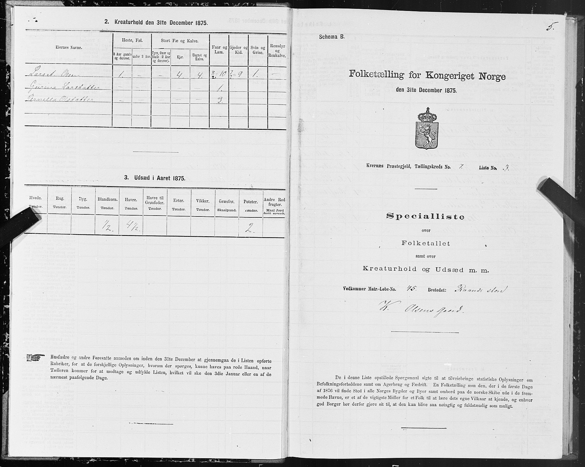 SAT, 1875 census for 1553P Kvernes, 1875, p. 4005