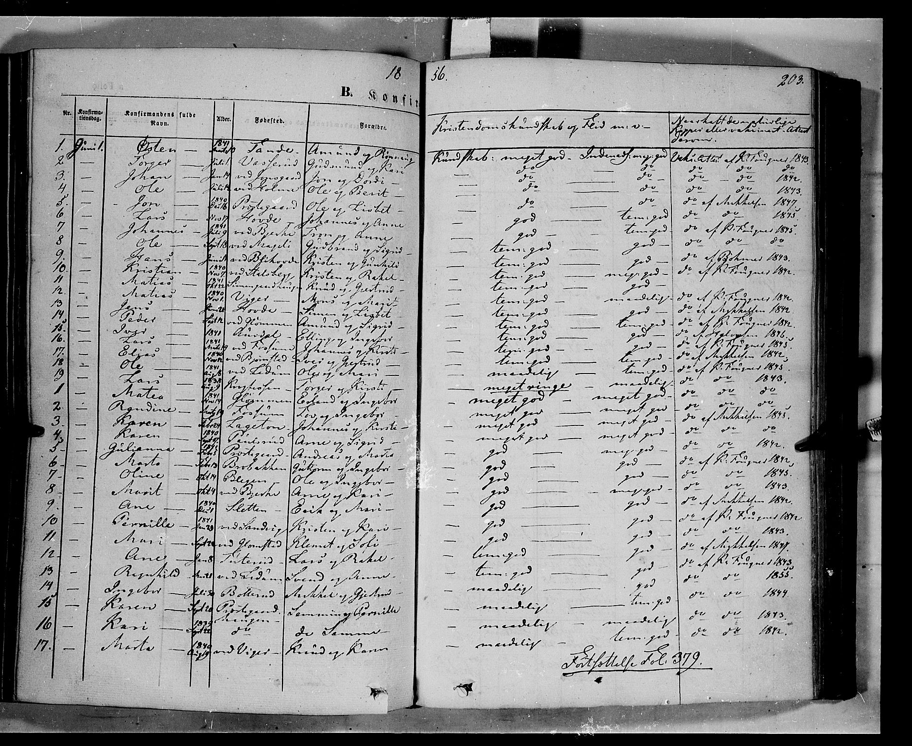 Øyer prestekontor, SAH/PREST-084/H/Ha/Haa/L0005: Parish register (official) no. 5, 1842-1857, p. 203