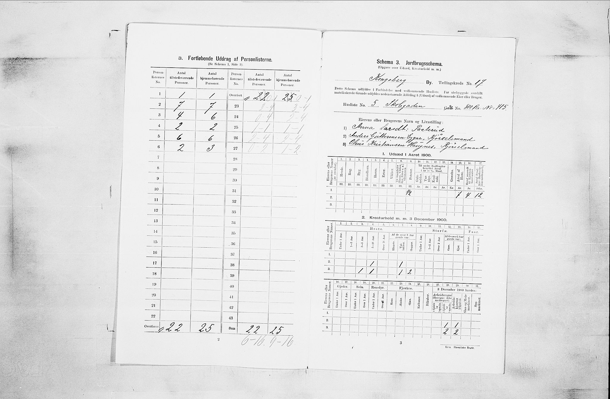 RA, 1900 census for Kongsberg, 1900, p. 3355