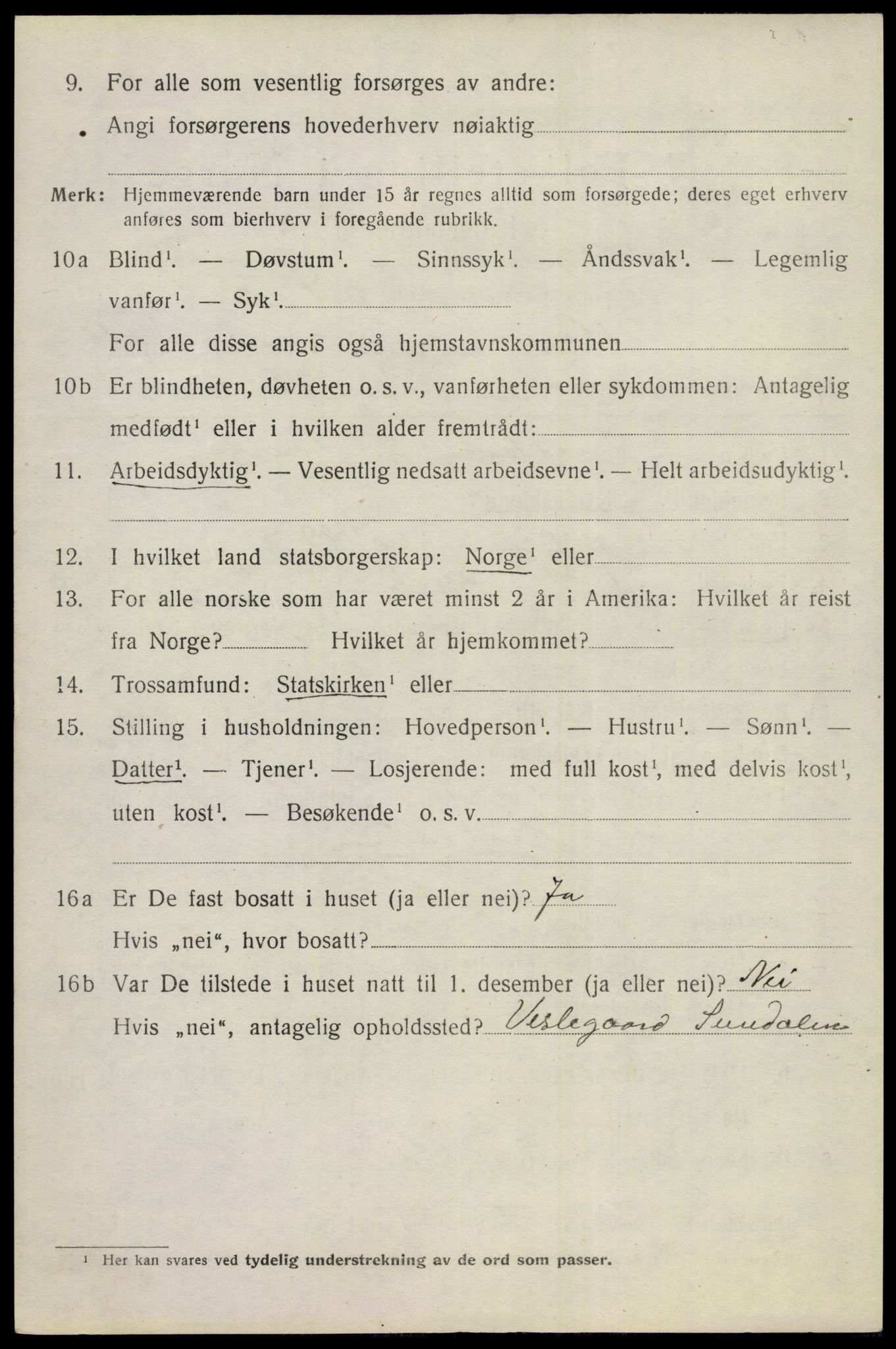 SAKO, 1920 census for Hol (Buskerud), 1920, p. 2430