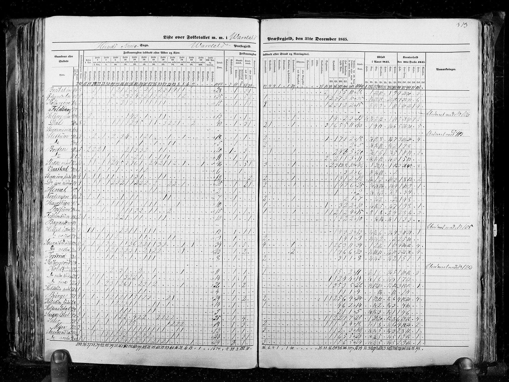 RA, Census 1845, vol. 3: Hedemarken amt og Kristians amt, 1845, p. 313