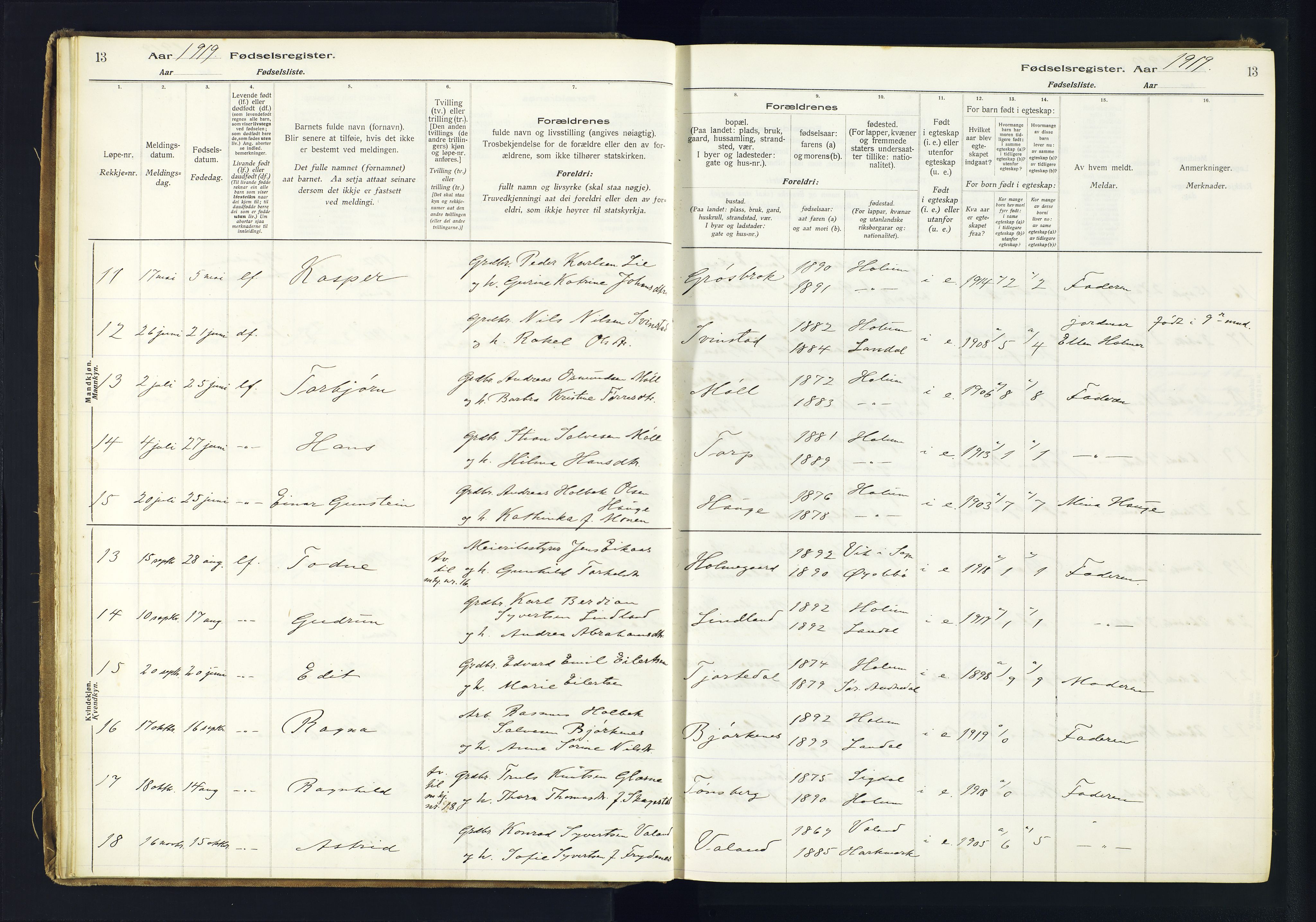 Holum sokneprestkontor, SAK/1111-0022/J/Ja/L0003: Birth register no. II.6.12, 1916-1982, p. 13