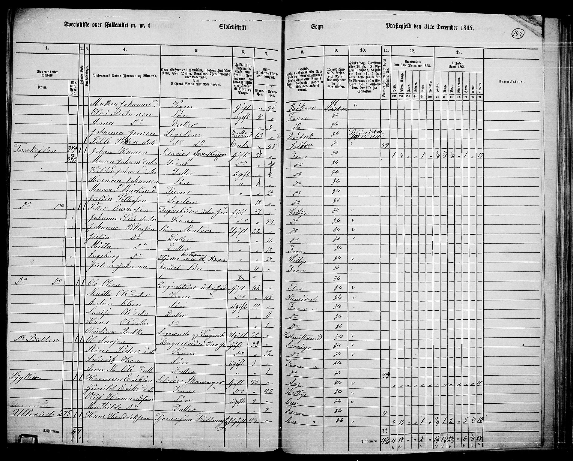 RA, 1865 census for Drøbak/Frogn, 1865, p. 16