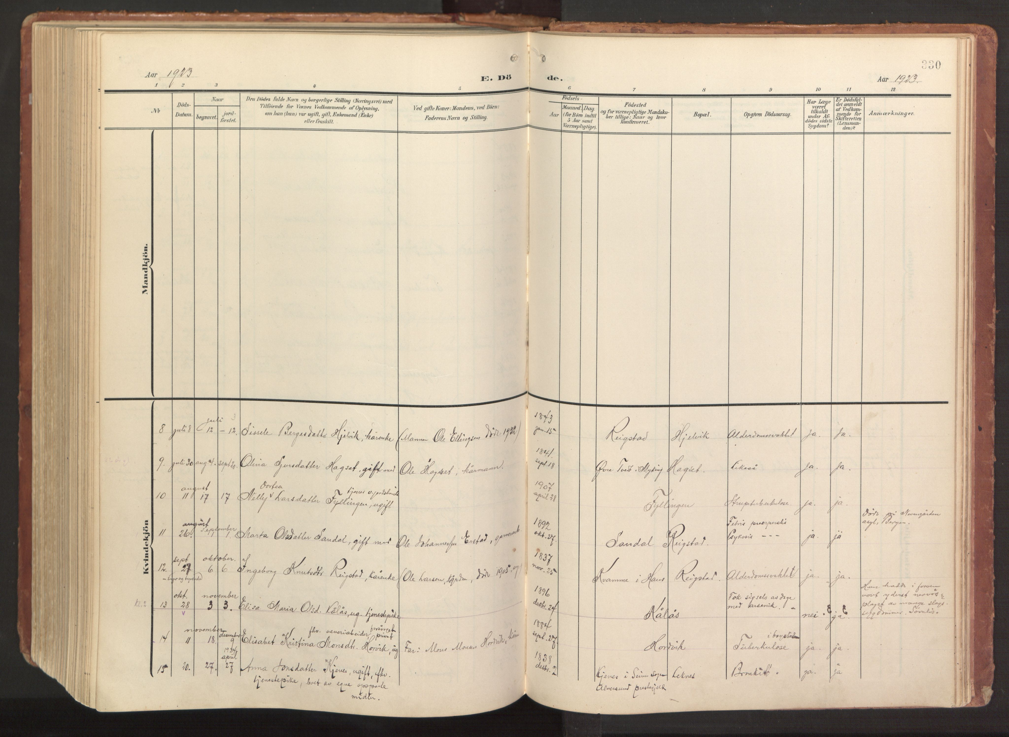 Hamre sokneprestembete, AV/SAB-A-75501/H/Ha/Haa/Haab/L0002: Parish register (official) no. B 2, 1905-1924, p. 330