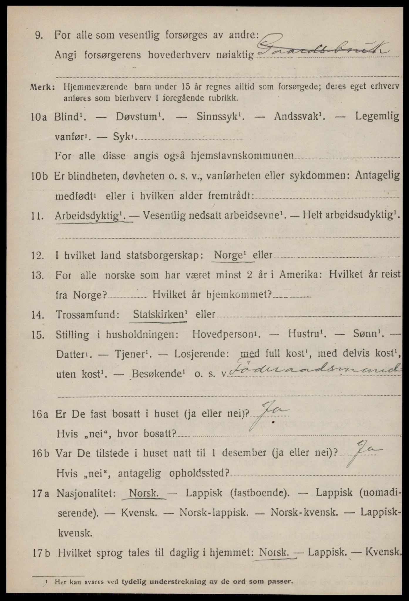 SAT, 1920 census for Røros, 1920, p. 9681