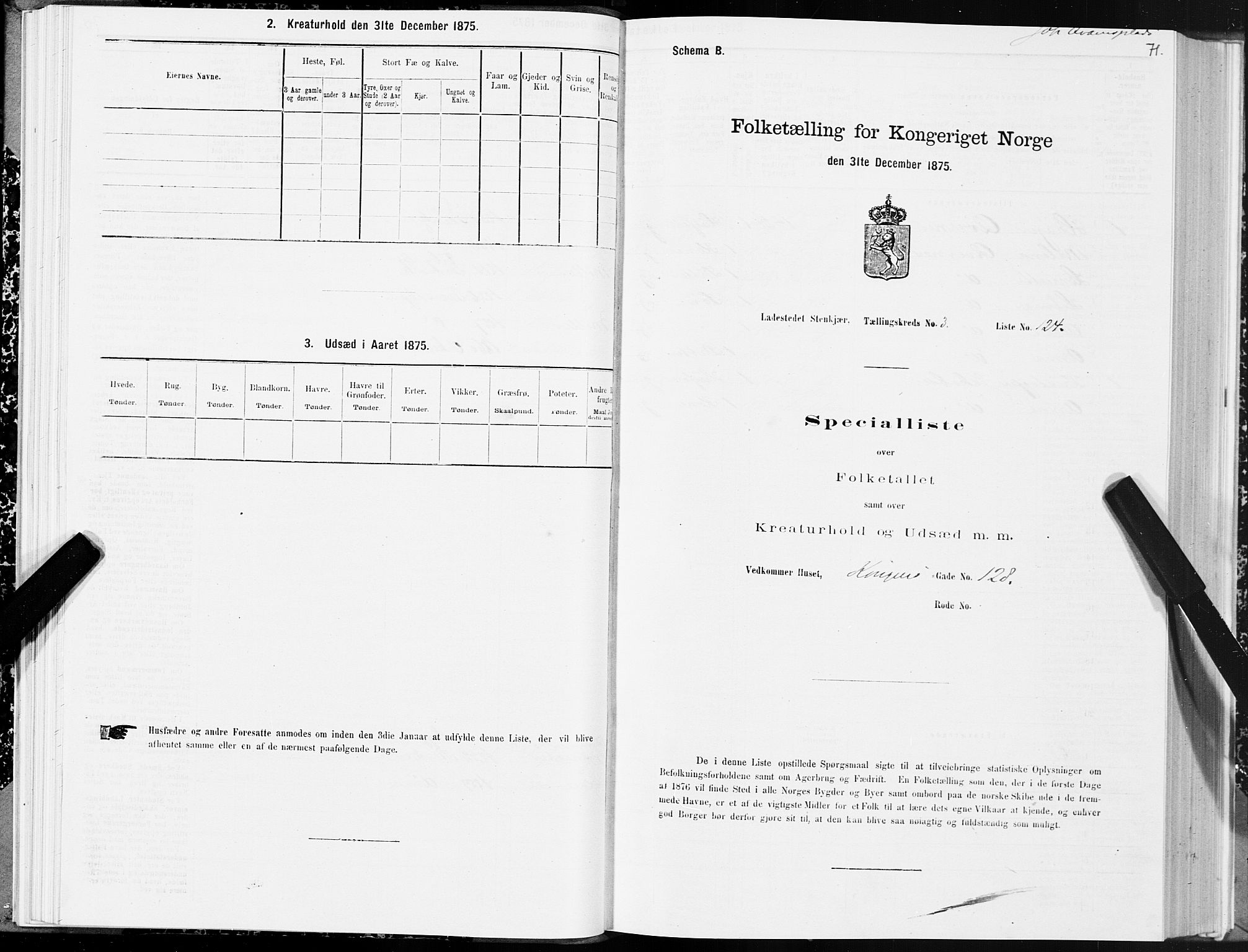 SAT, 1875 census for 1702B Steinkjer/Steinkjer, 1875, p. 71