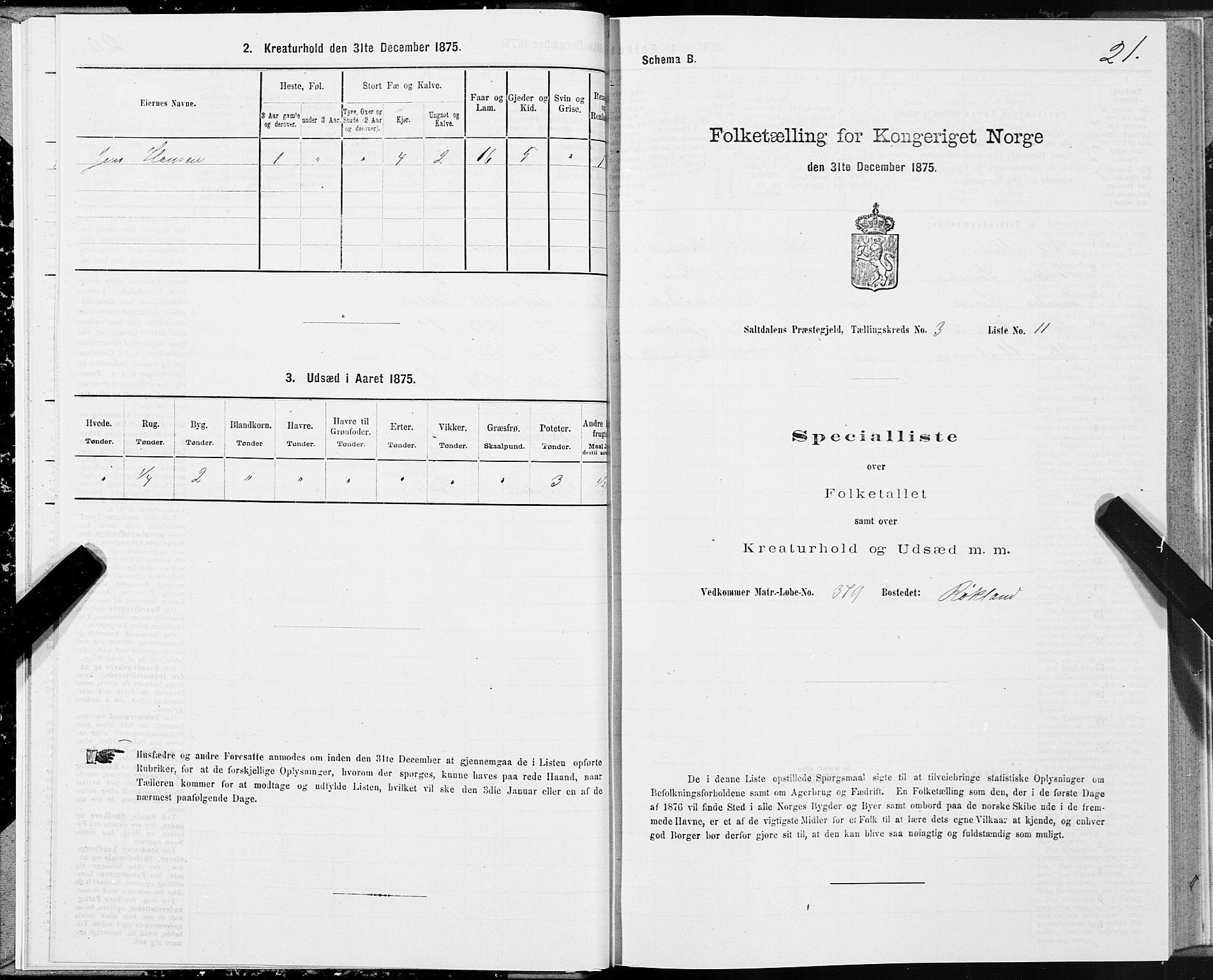 SAT, 1875 census for 1840P Saltdal, 1875, p. 2021