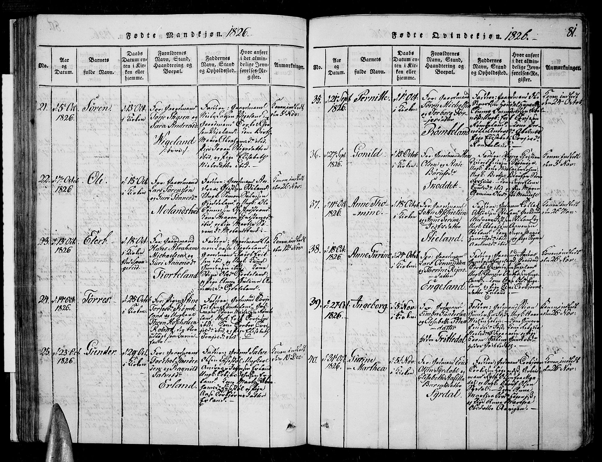 Sør-Audnedal sokneprestkontor, AV/SAK-1111-0039/F/Fa/Fab/L0005: Parish register (official) no. A 5, 1816-1830, p. 81