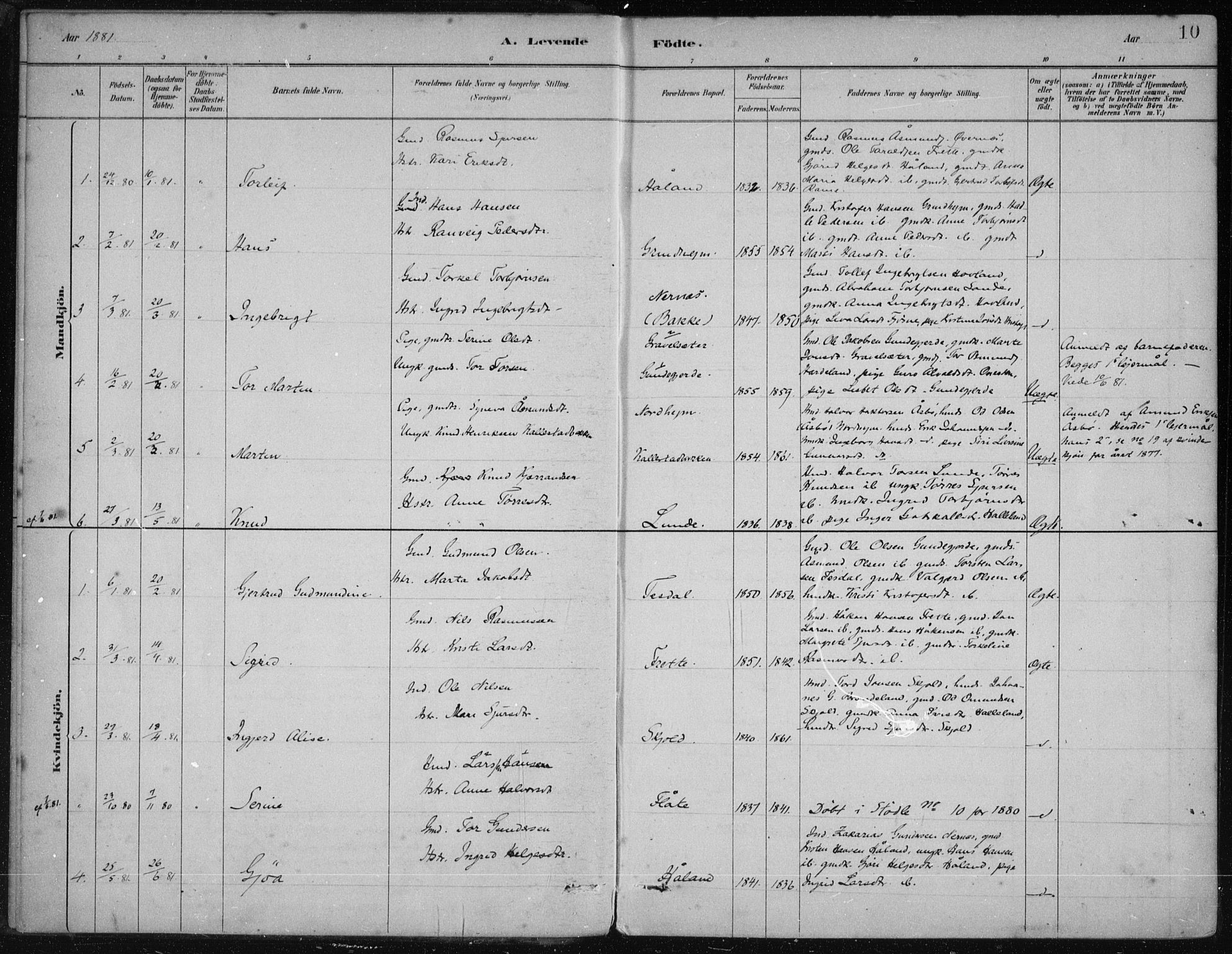 Etne sokneprestembete, SAB/A-75001/H/Haa: Parish register (official) no. D  1, 1879-1919, p. 10