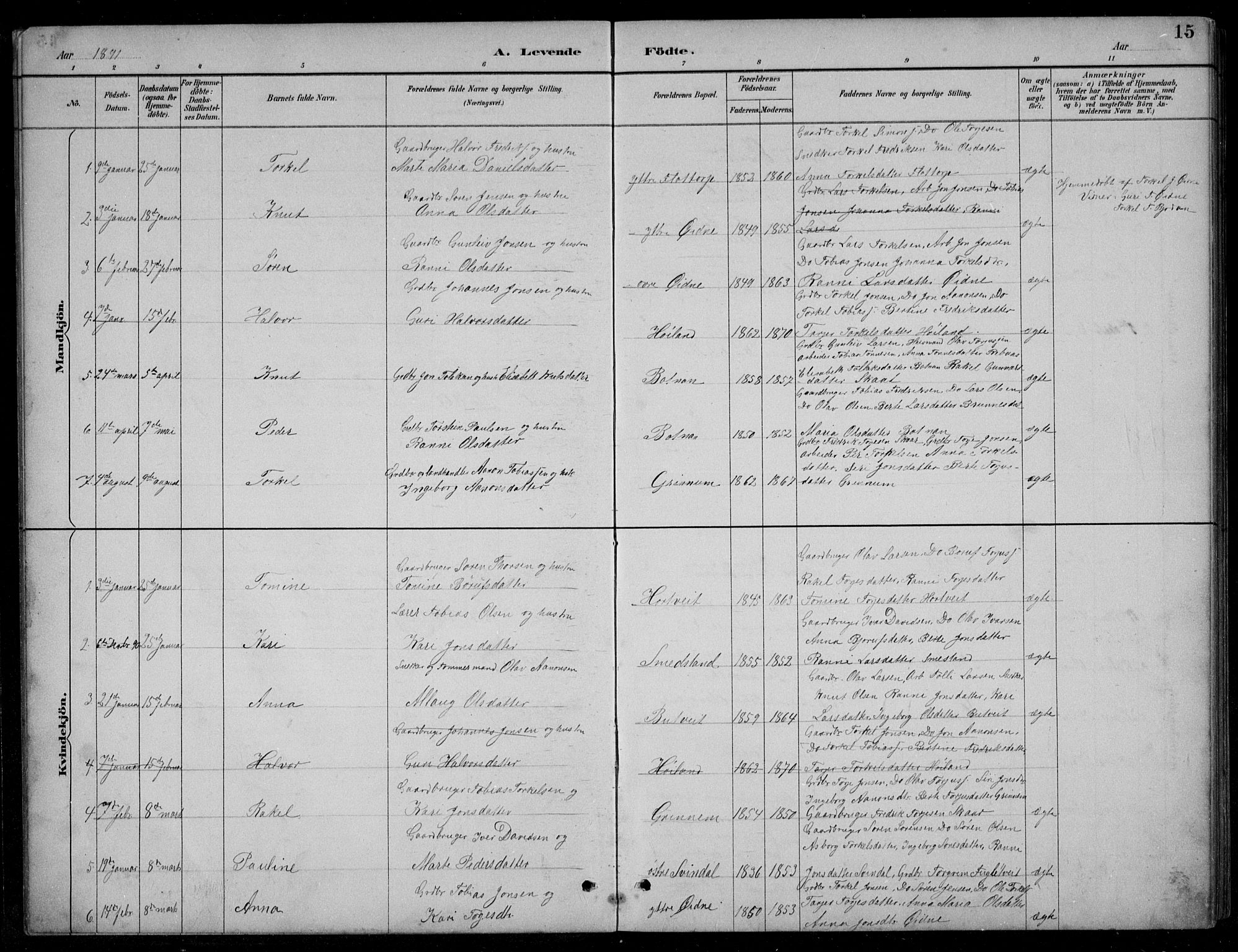 Bjelland sokneprestkontor, SAK/1111-0005/F/Fb/Fbc/L0003: Parish register (copy) no. B 3, 1887-1924, p. 15