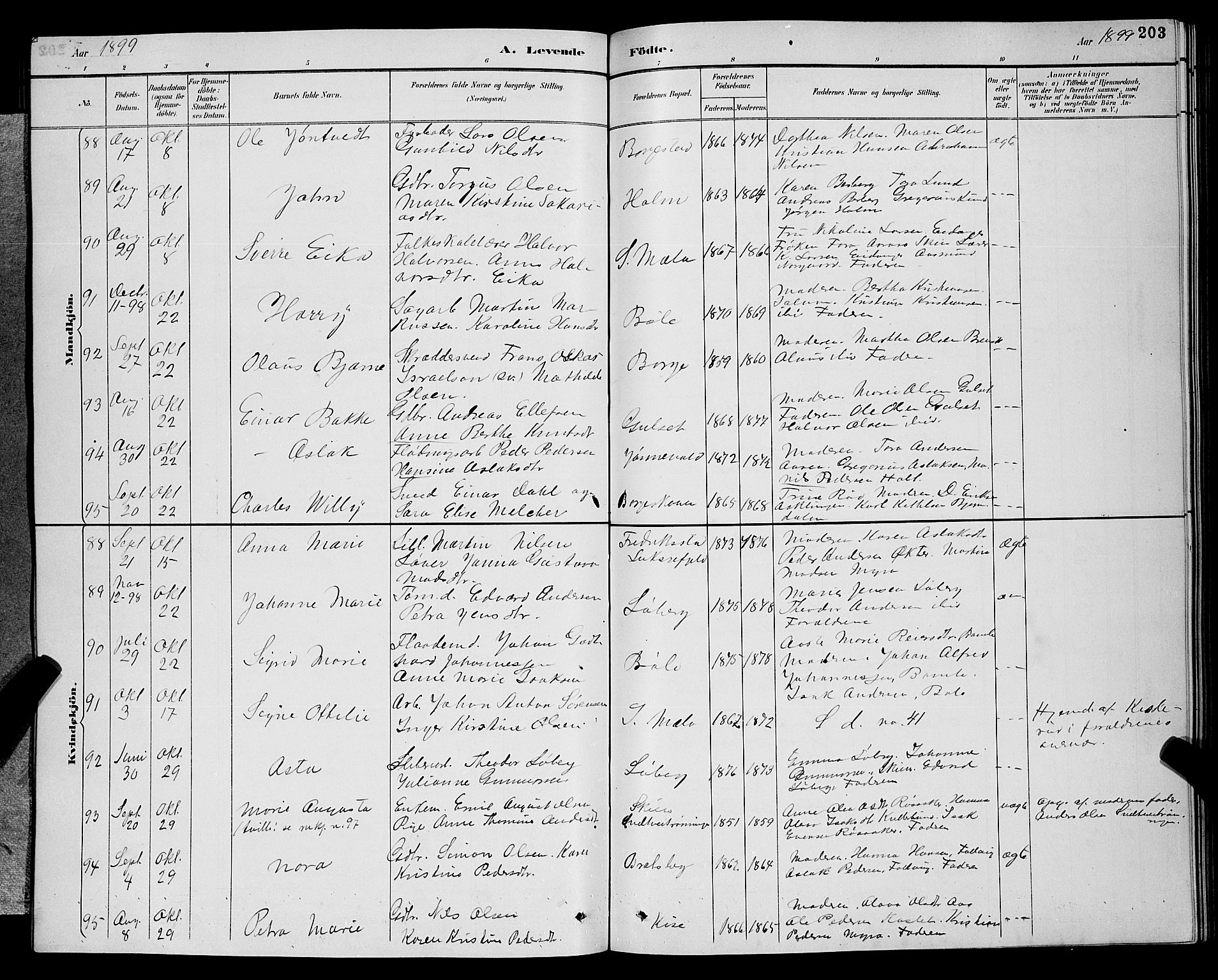 Gjerpen kirkebøker, AV/SAKO-A-265/G/Ga/L0002: Parish register (copy) no. I 2, 1883-1900, p. 203