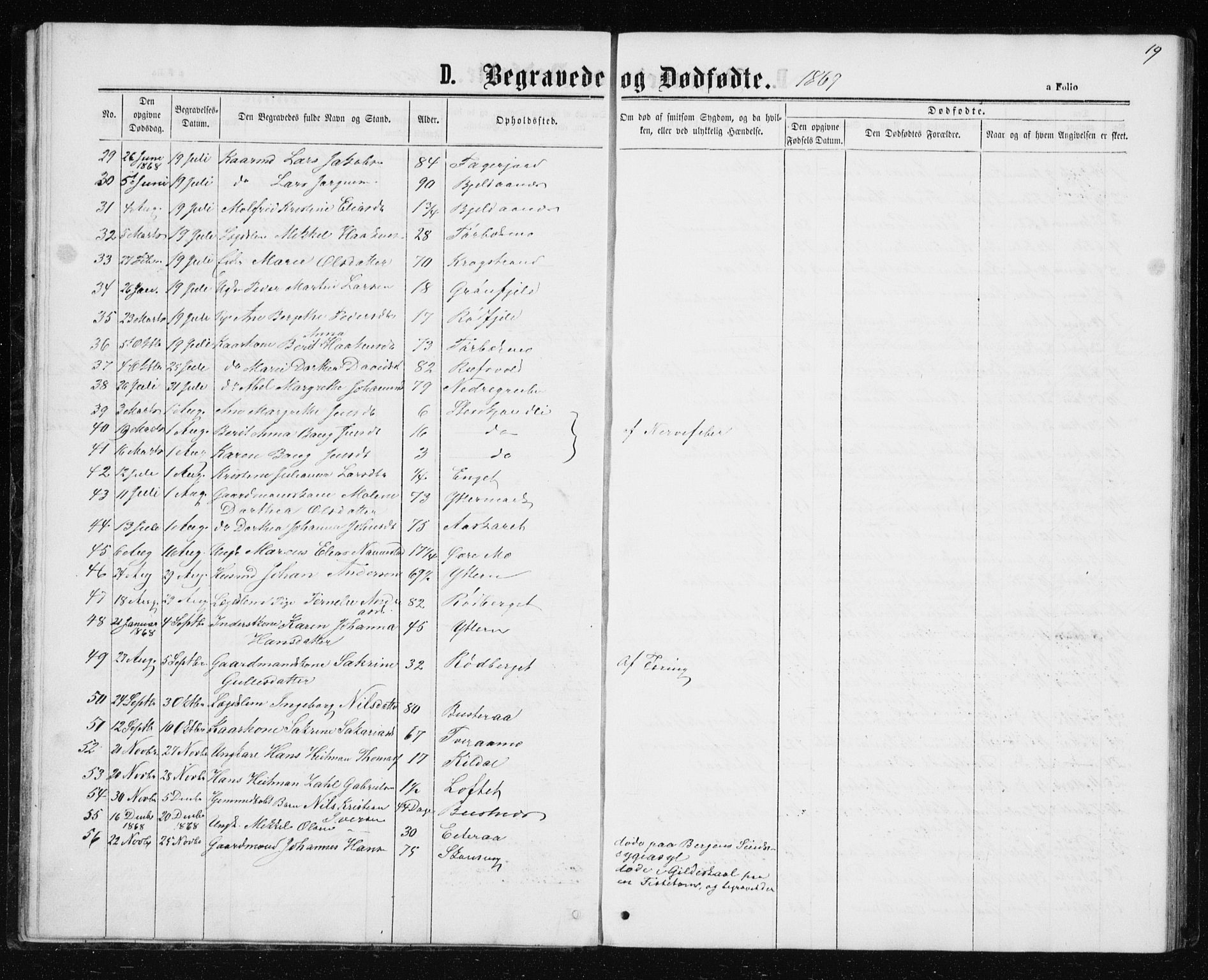 Ministerialprotokoller, klokkerbøker og fødselsregistre - Nordland, SAT/A-1459/827/L0418: Parish register (copy) no. 827C07, 1863-1886, p. 19