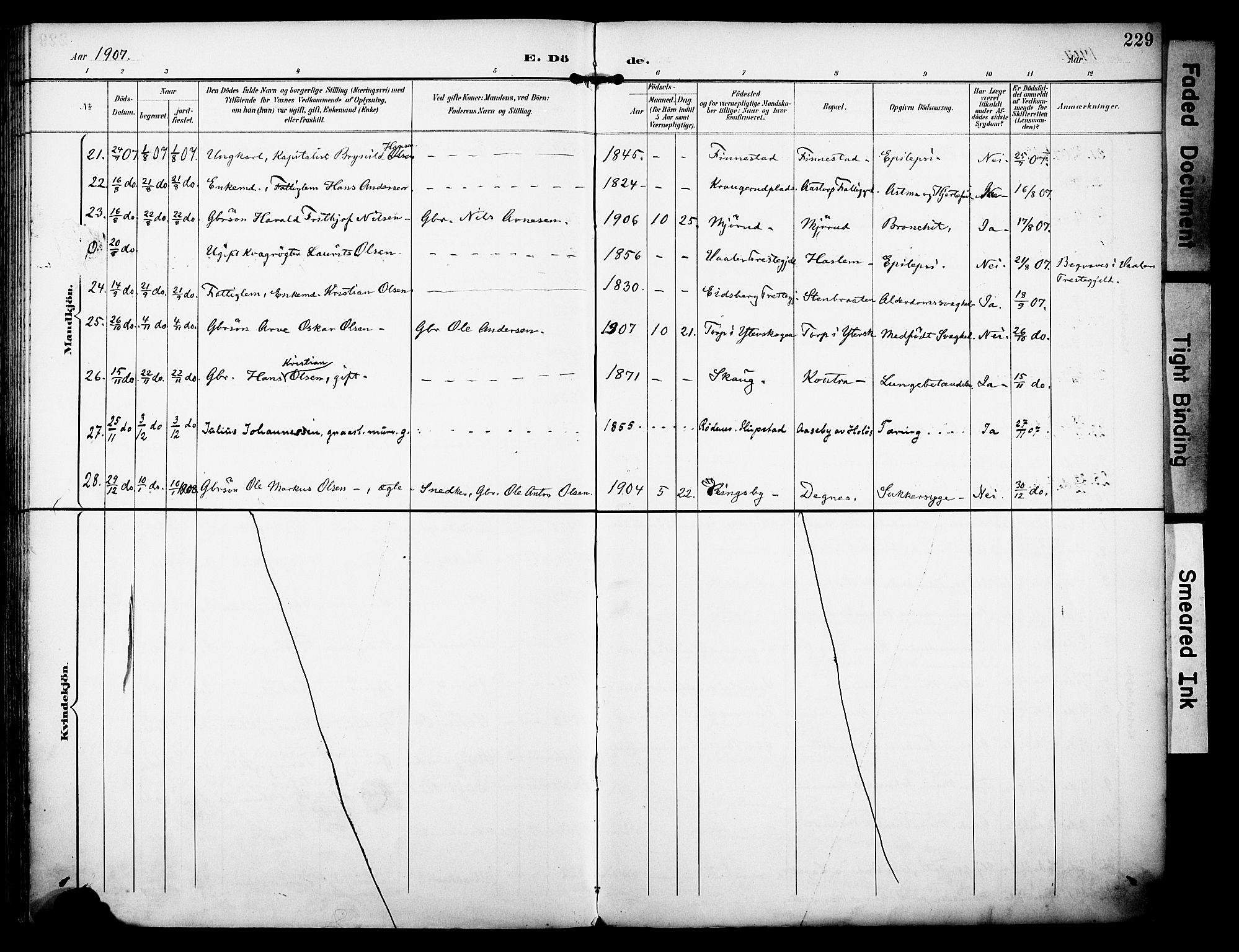 Rakkestad prestekontor Kirkebøker, AV/SAO-A-2008/F/Fa/L0013: Parish register (official) no. I 13, 1894-1908, p. 229