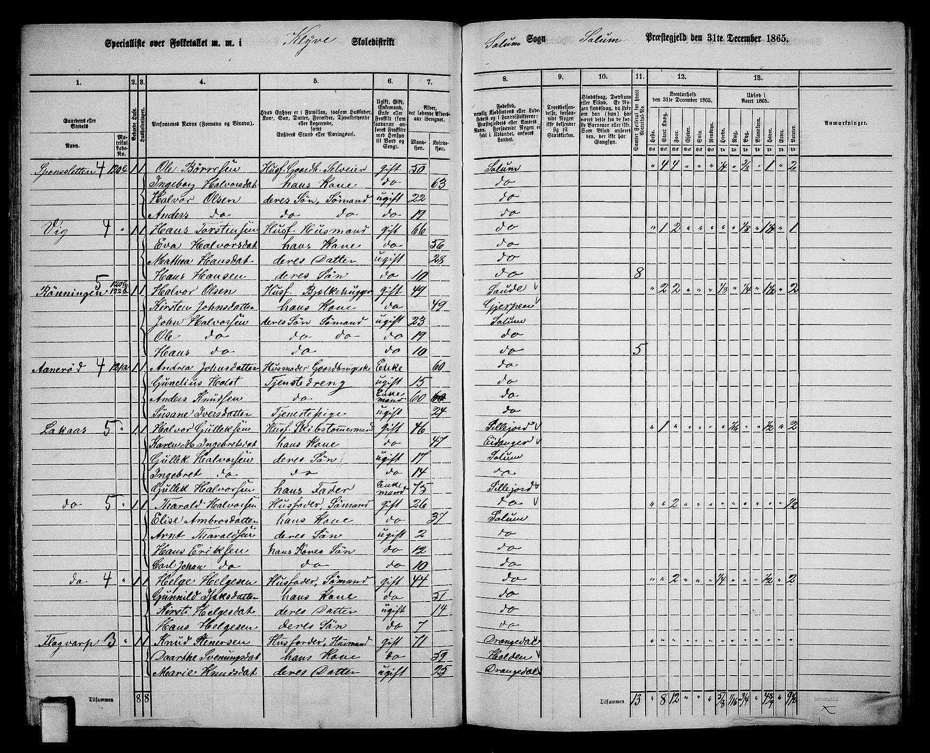 RA, 1865 census for Solum, 1865, p. 113