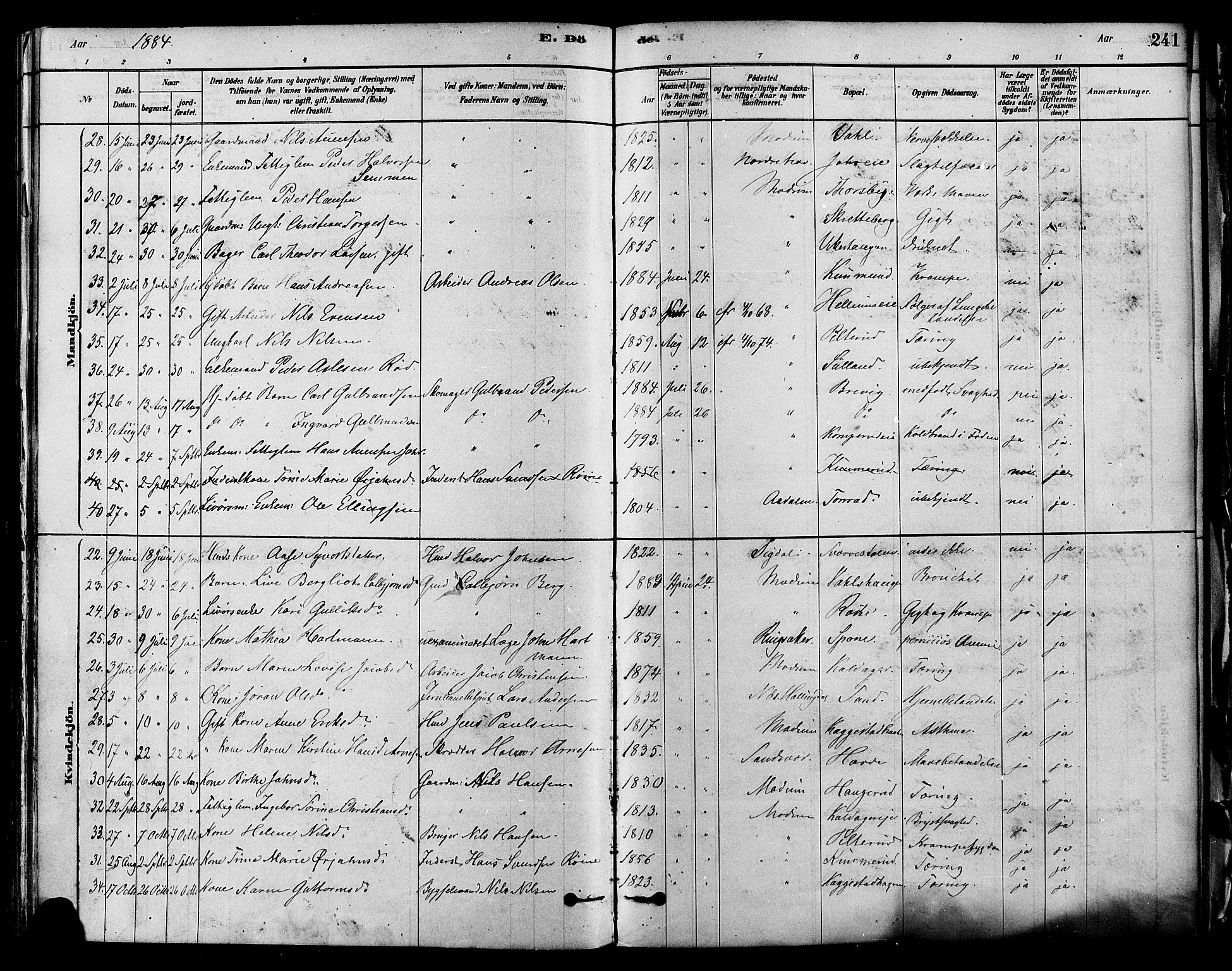 Modum kirkebøker, SAKO/A-234/F/Fa/L0011: Parish register (official) no. 11, 1877-1889, p. 241