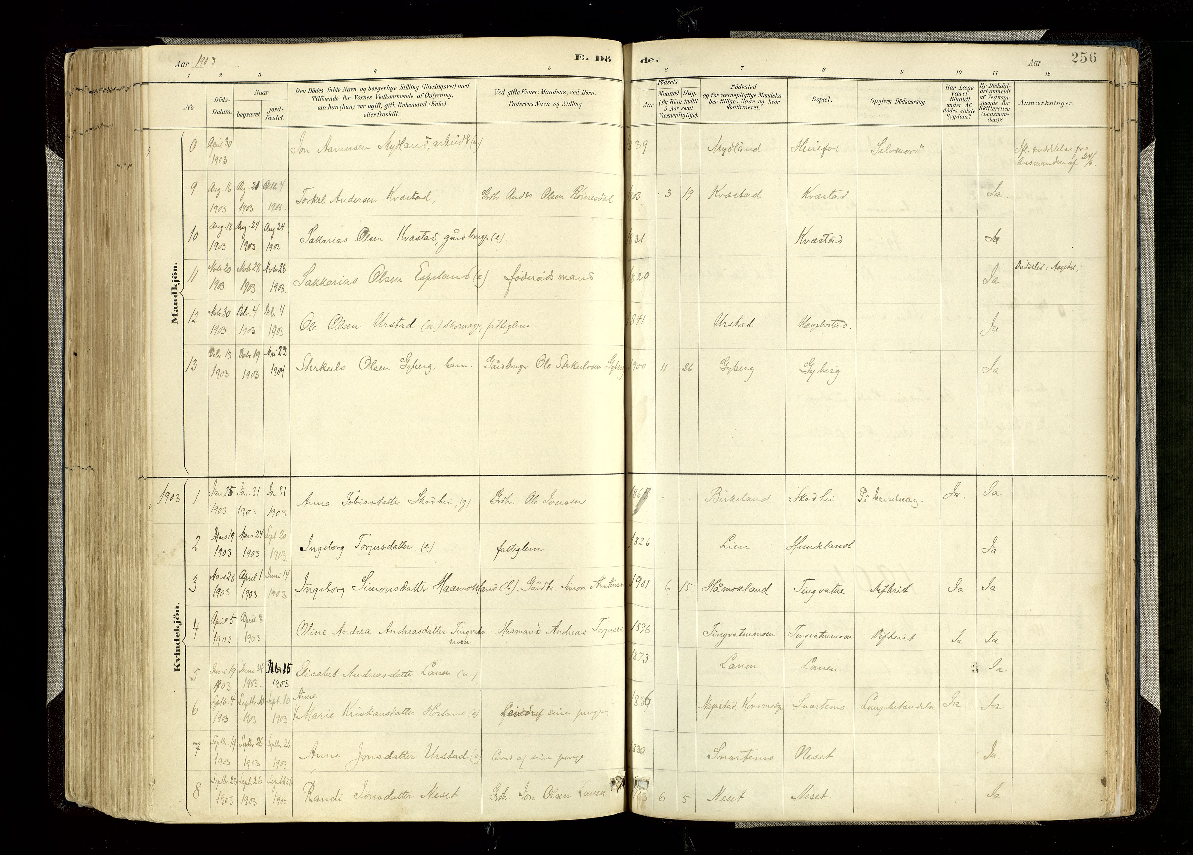 Hægebostad sokneprestkontor, SAK/1111-0024/F/Fa/Faa/L0006: Parish register (official) no. A 6, 1887-1929, p. 256