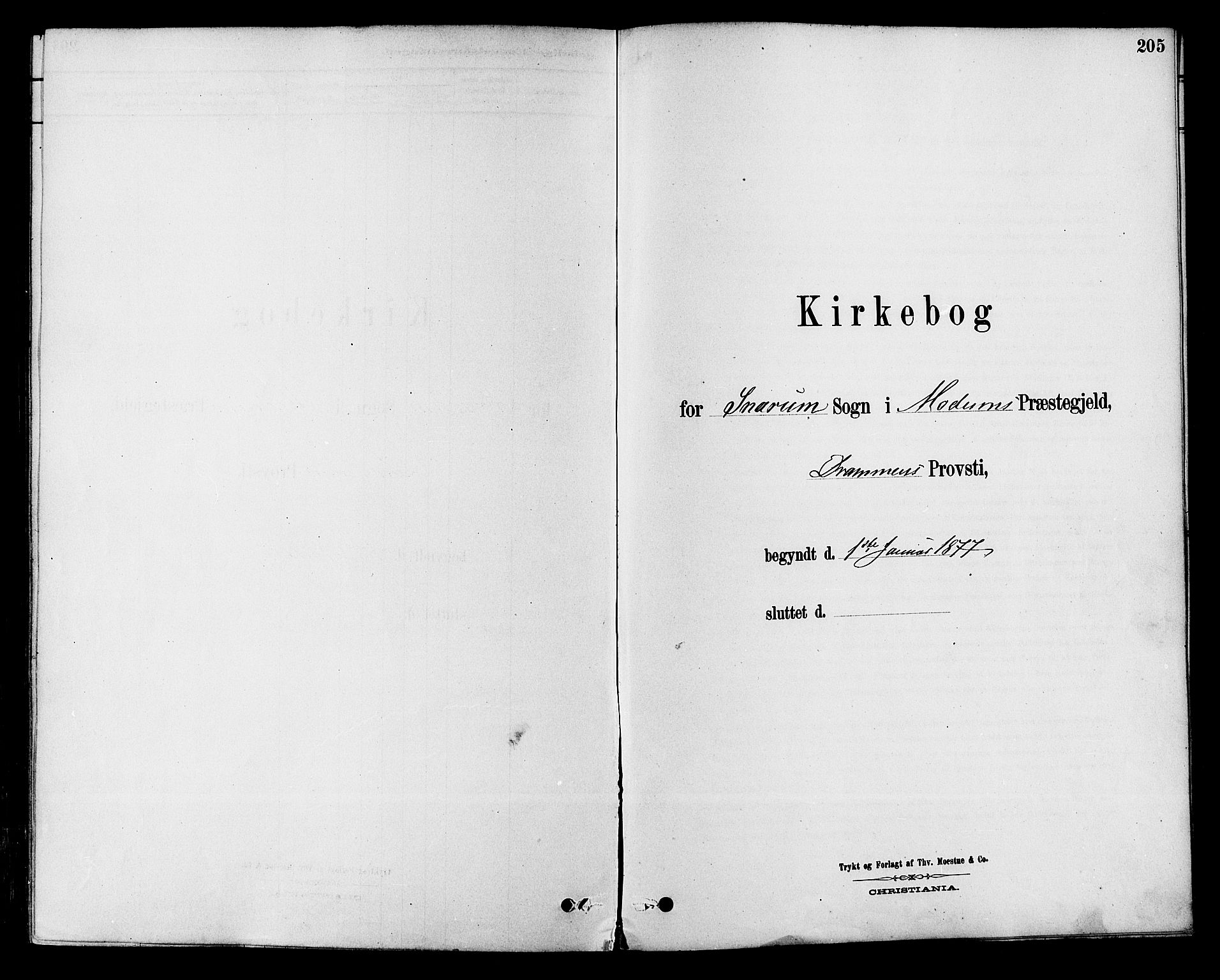 Modum kirkebøker, AV/SAKO-A-234/F/Fa/L0015: Parish register (official) no. 15 /2, 1877-1889, p. 205