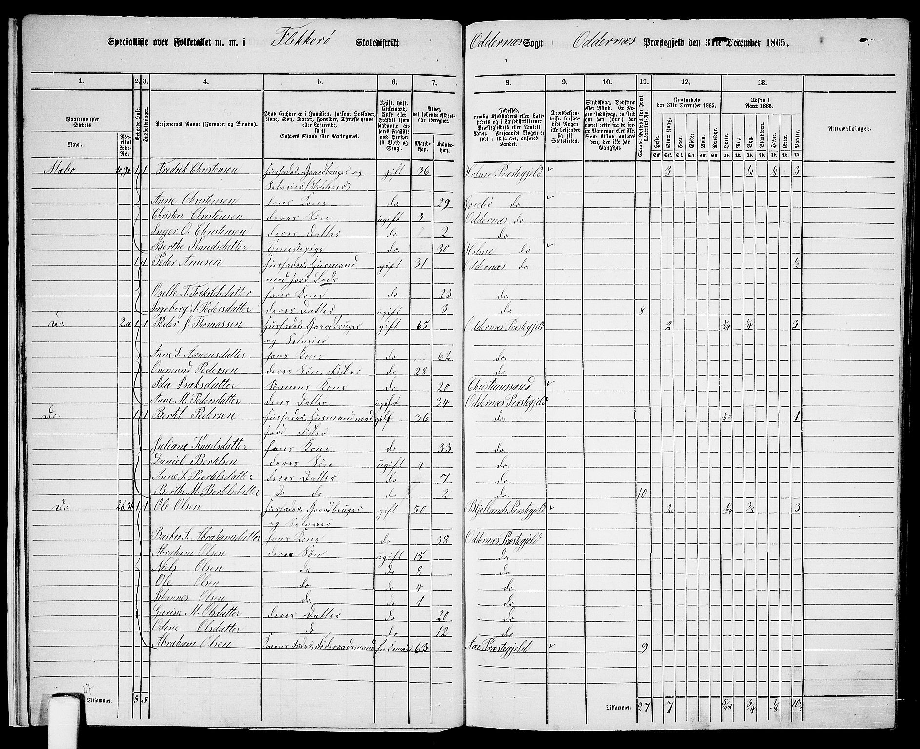 RA, 1865 census for Oddernes, 1865, p. 17