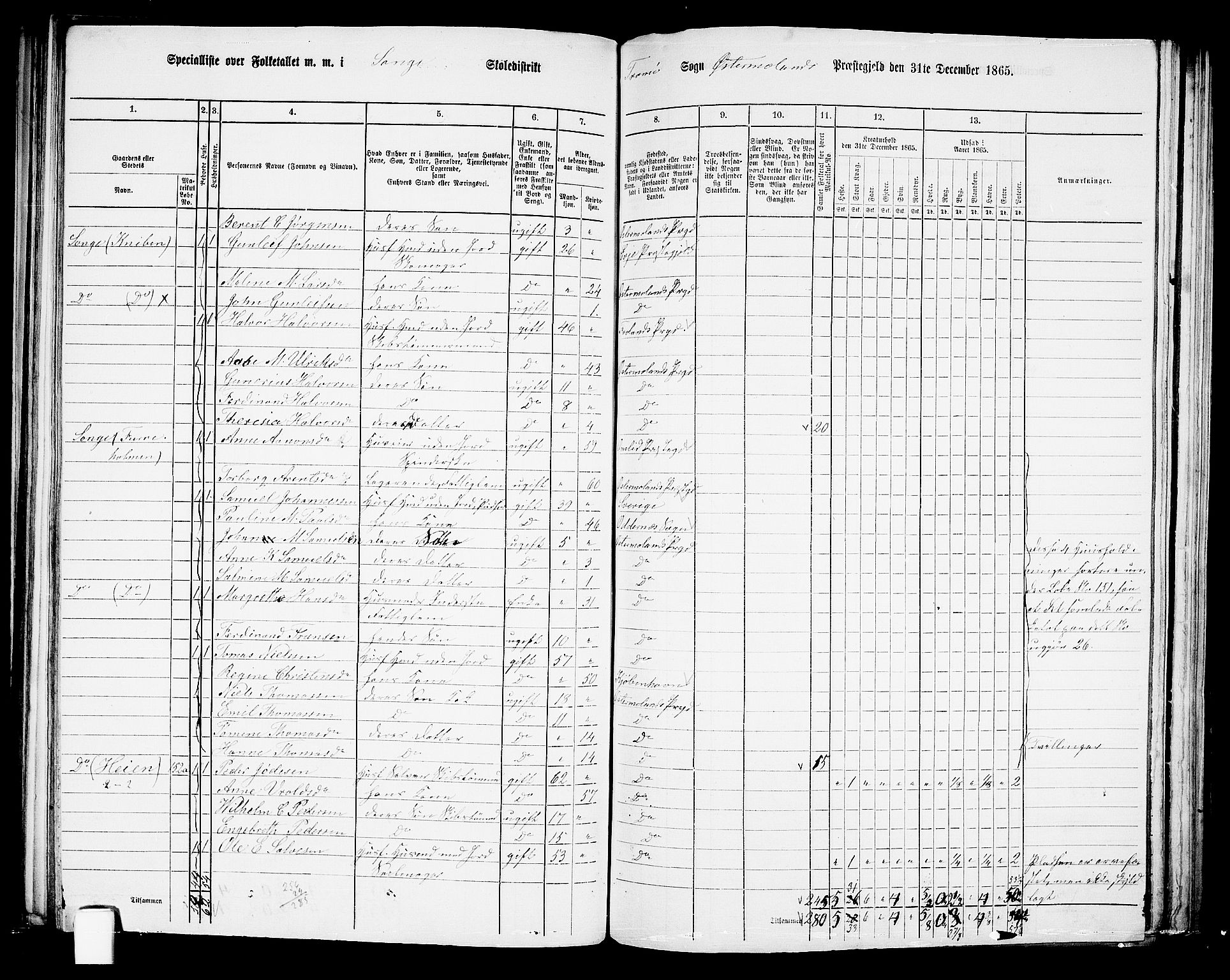 RA, 1865 census for Austre Moland, 1865, p. 160