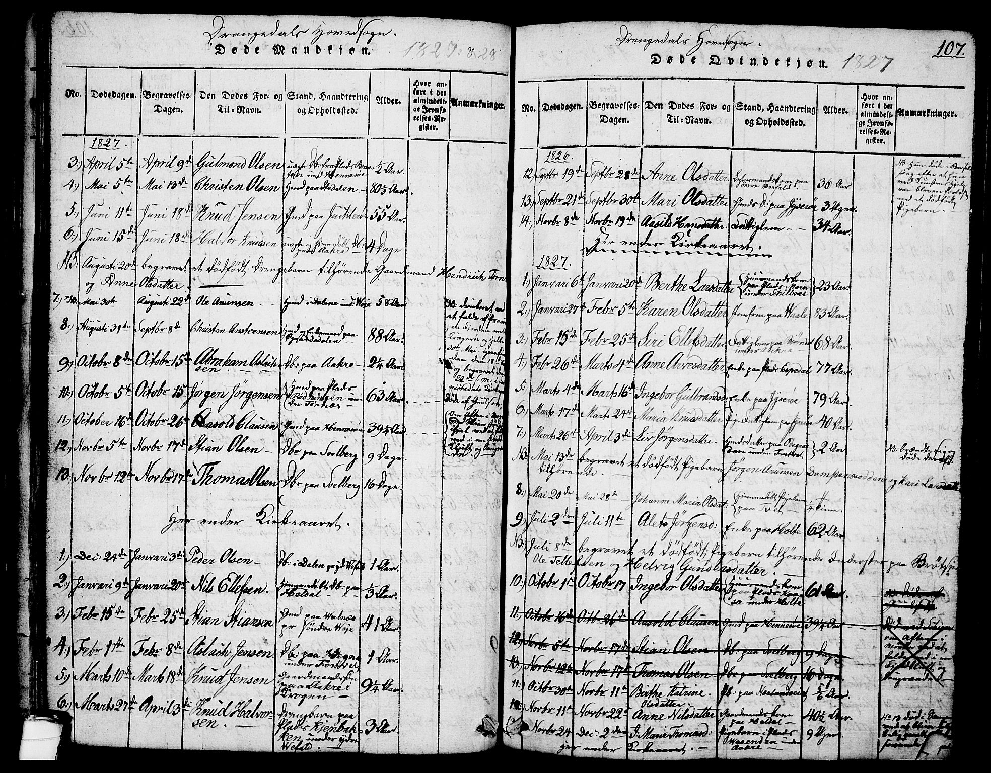 Drangedal kirkebøker, SAKO/A-258/G/Ga/L0001: Parish register (copy) no. I 1 /1, 1814-1856, p. 107
