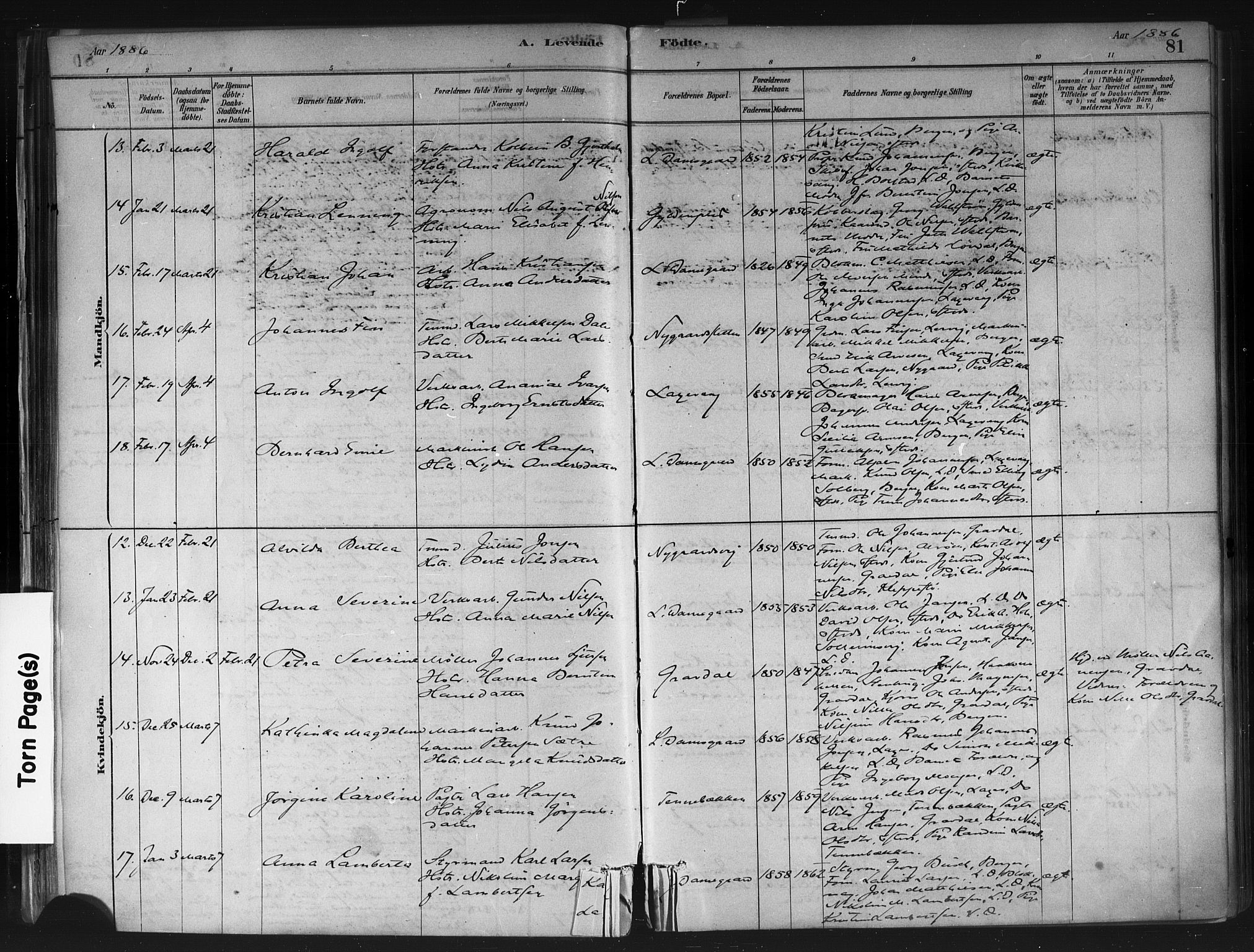 Askøy Sokneprestembete, AV/SAB-A-74101/H/Ha/Haa/Haae/L0002: Parish register (official) no. E 2, 1878-1891, p. 81