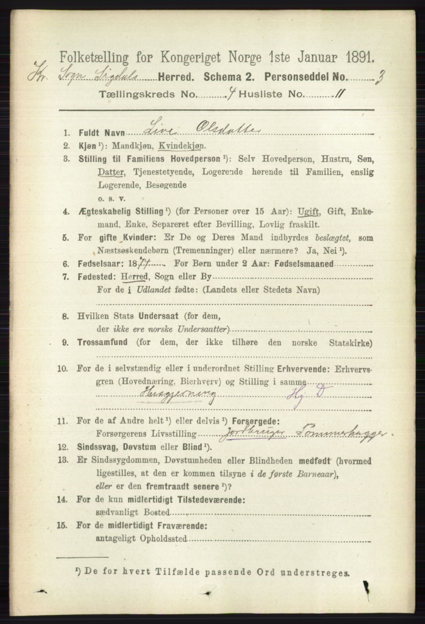 RA, 1891 census for 0621 Sigdal, 1891, p. 6058