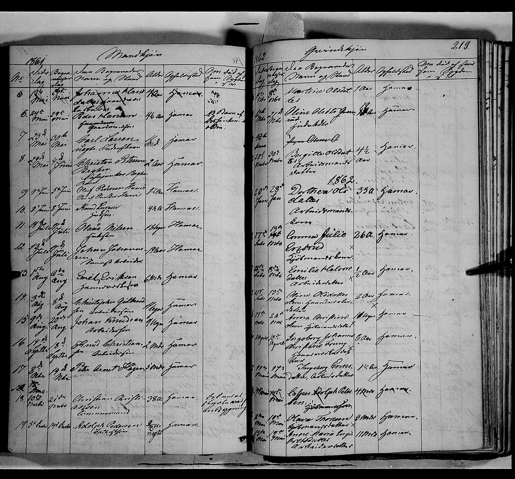 Vang prestekontor, Hedmark, SAH/PREST-008/H/Ha/Haa/L0011: Parish register (official) no. 11, 1852-1877, p. 219
