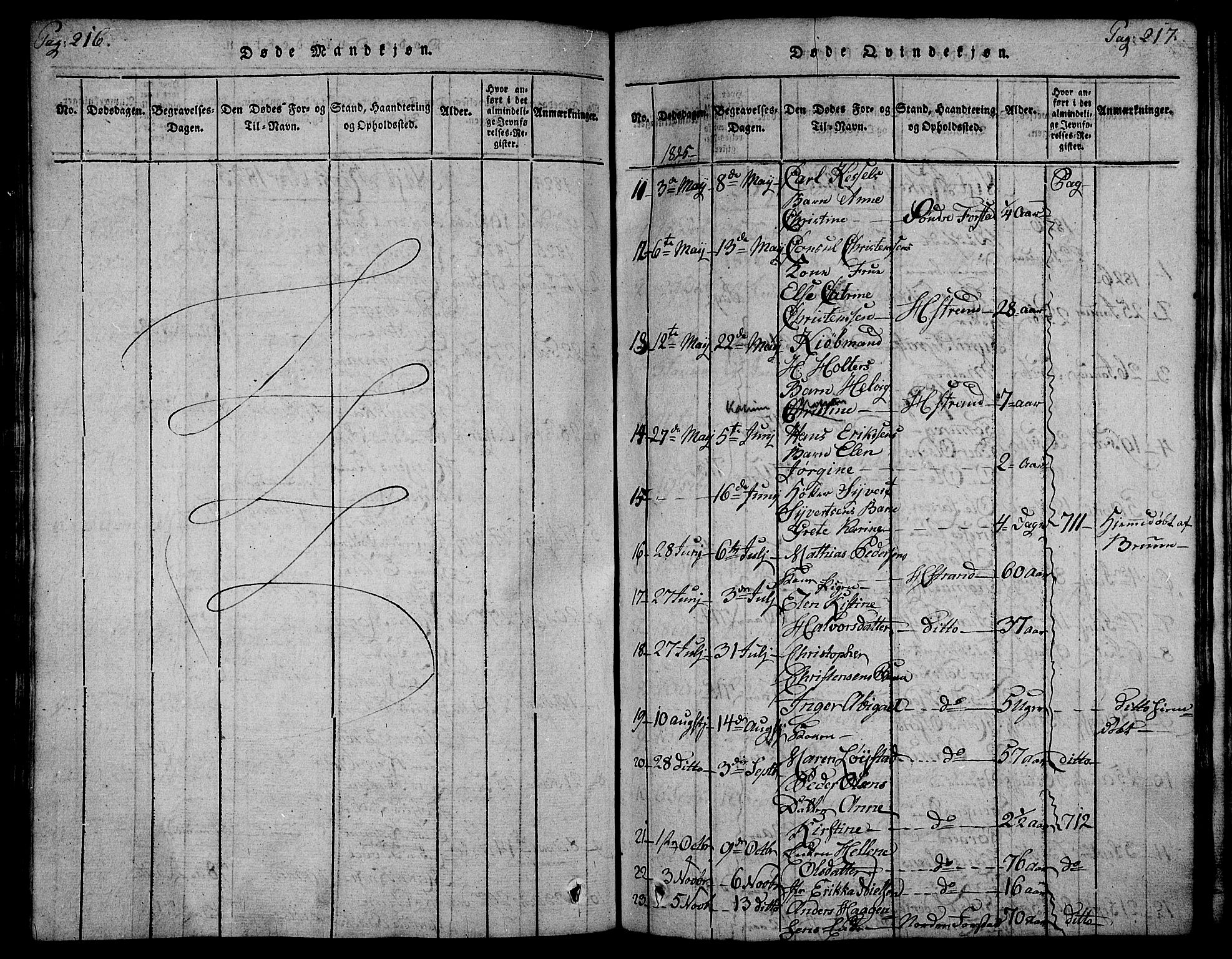 Holmestrand kirkebøker, SAKO/A-346/F/Fa/L0001: Parish register (official) no. 1, 1814-1840, p. 216-217