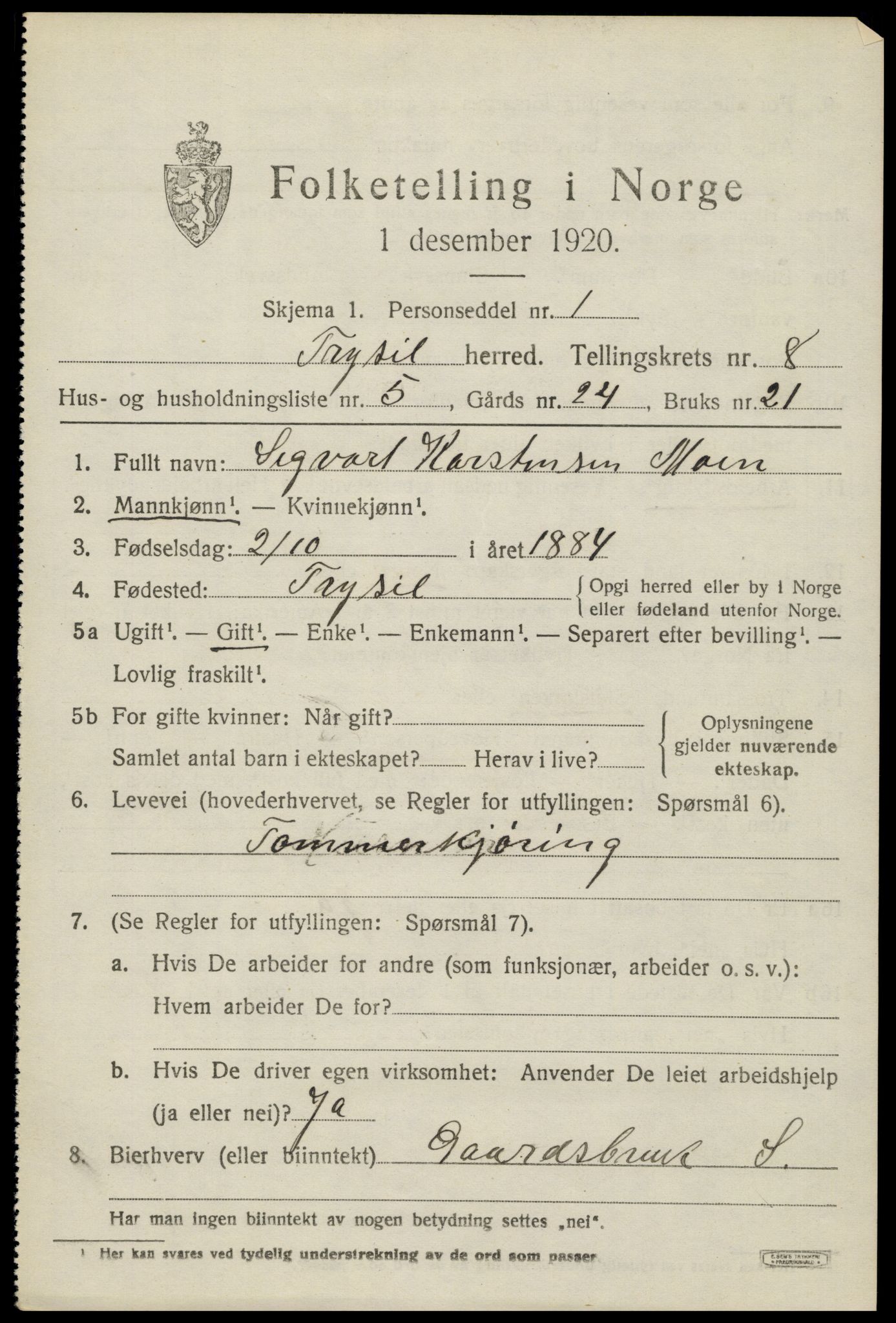 SAH, 1920 census for Trysil, 1920, p. 6291