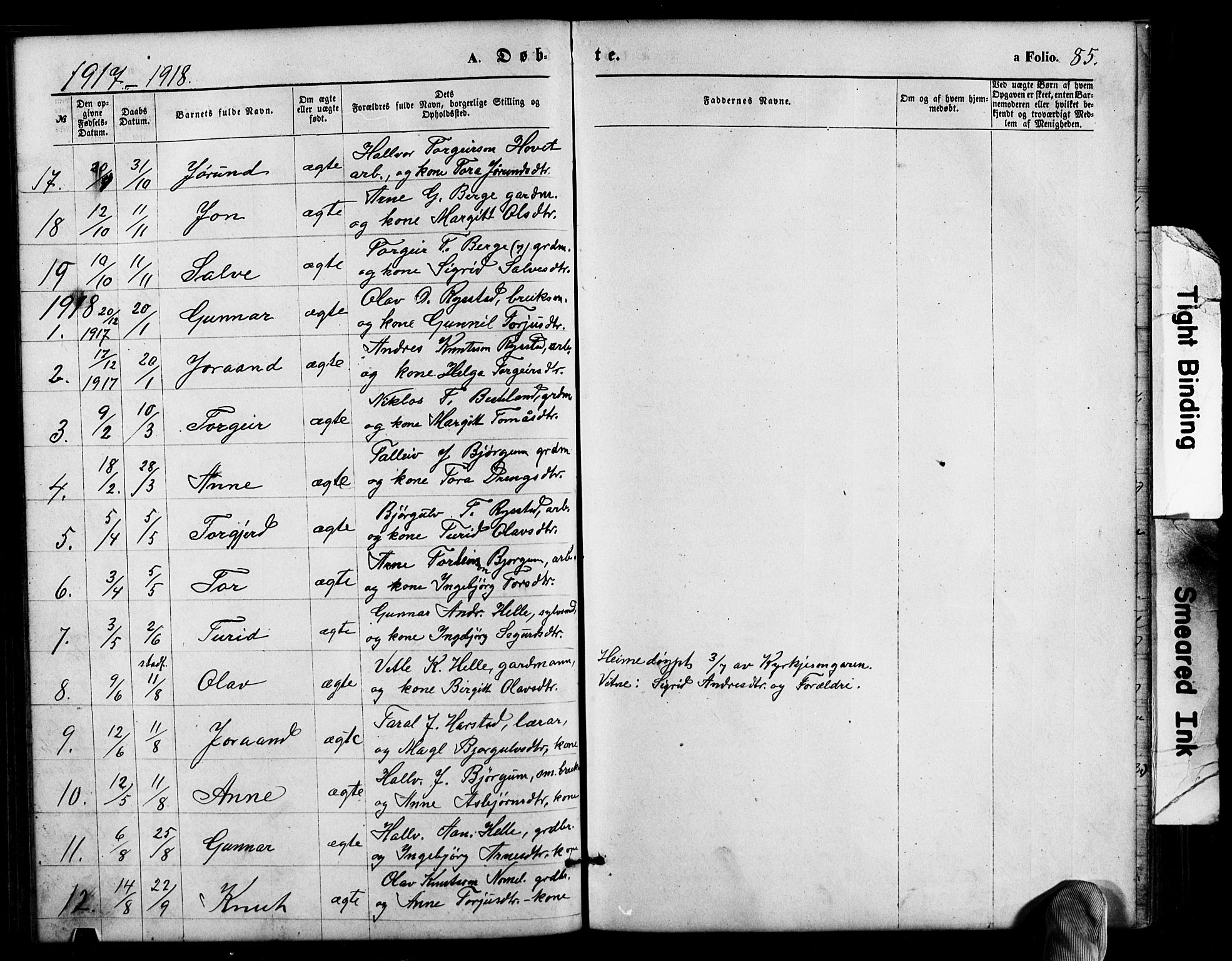 Valle sokneprestkontor, SAK/1111-0044/F/Fb/Fbb/L0002: Parish register (copy) no. B 2, 1875-1921, p. 85