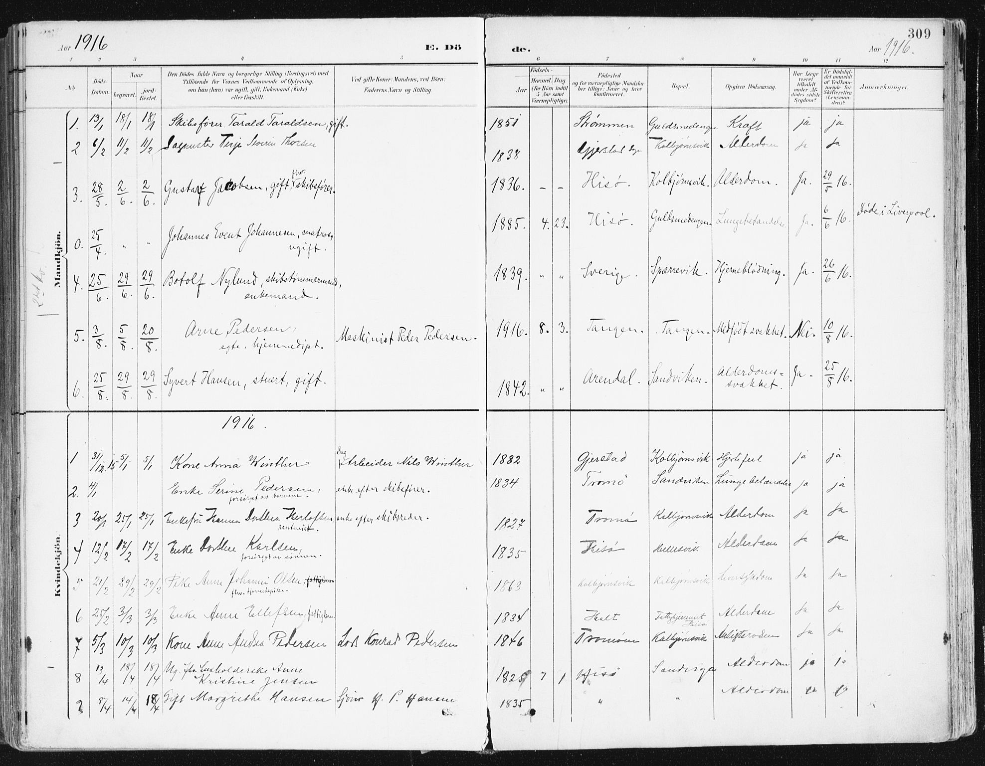 Hisøy sokneprestkontor, SAK/1111-0020/F/Fa/L0004: Parish register (official) no. A 4, 1895-1917, p. 309