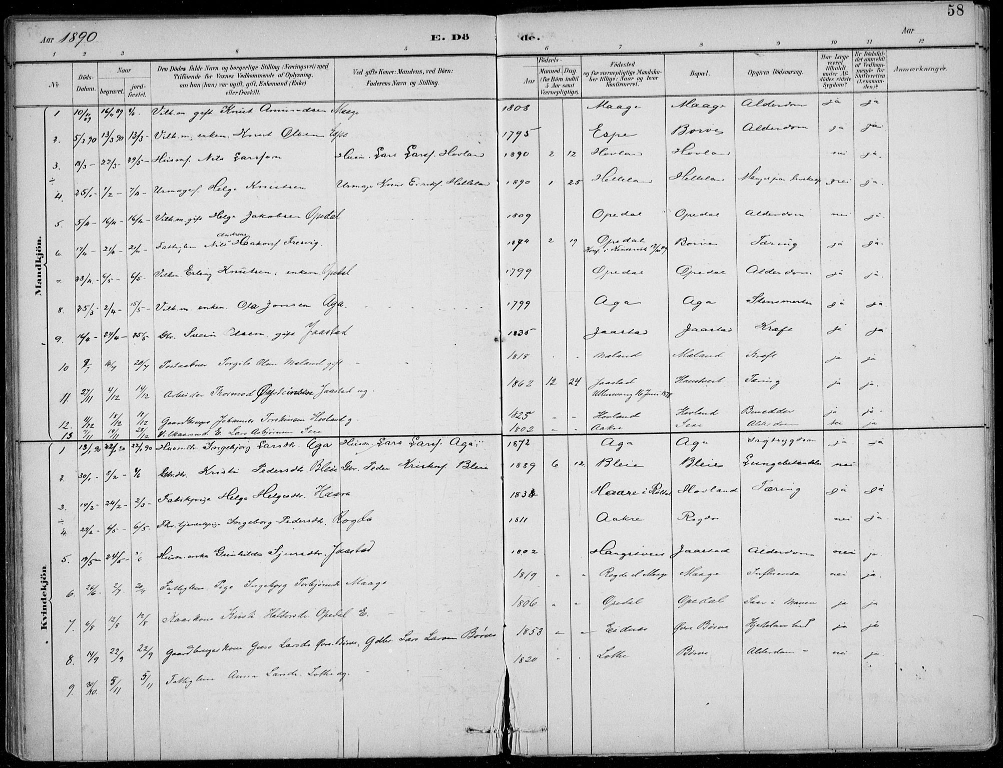 Ullensvang sokneprestembete, AV/SAB-A-78701/H/Haa: Parish register (official) no. B  3, 1882-1911, p. 58