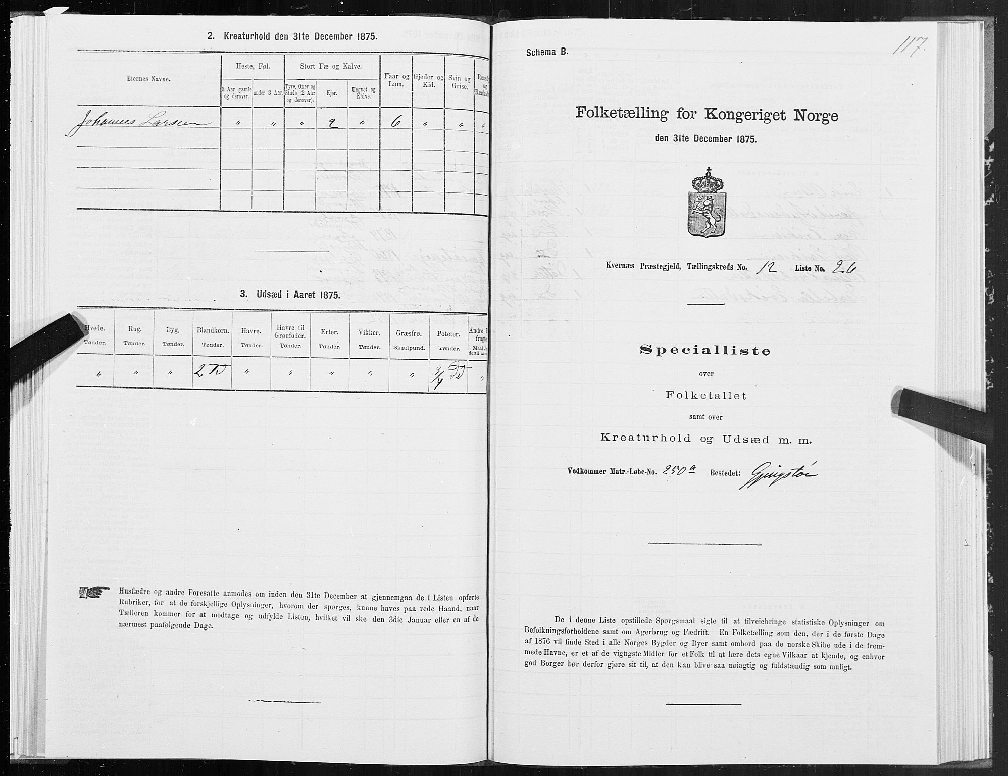 SAT, 1875 census for 1553P Kvernes, 1875, p. 6117