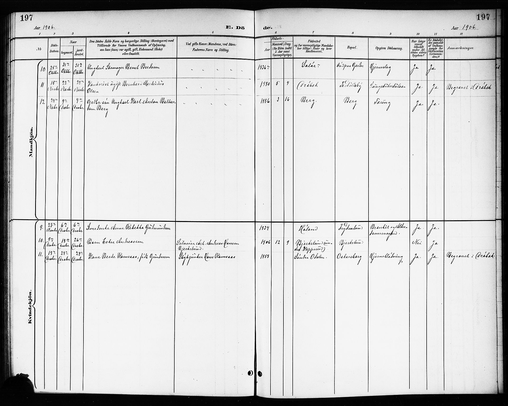 Drøbak prestekontor Kirkebøker, SAO/A-10142a/G/Gb/L0001: Parish register (copy) no. II 1, 1901-1919, p. 197
