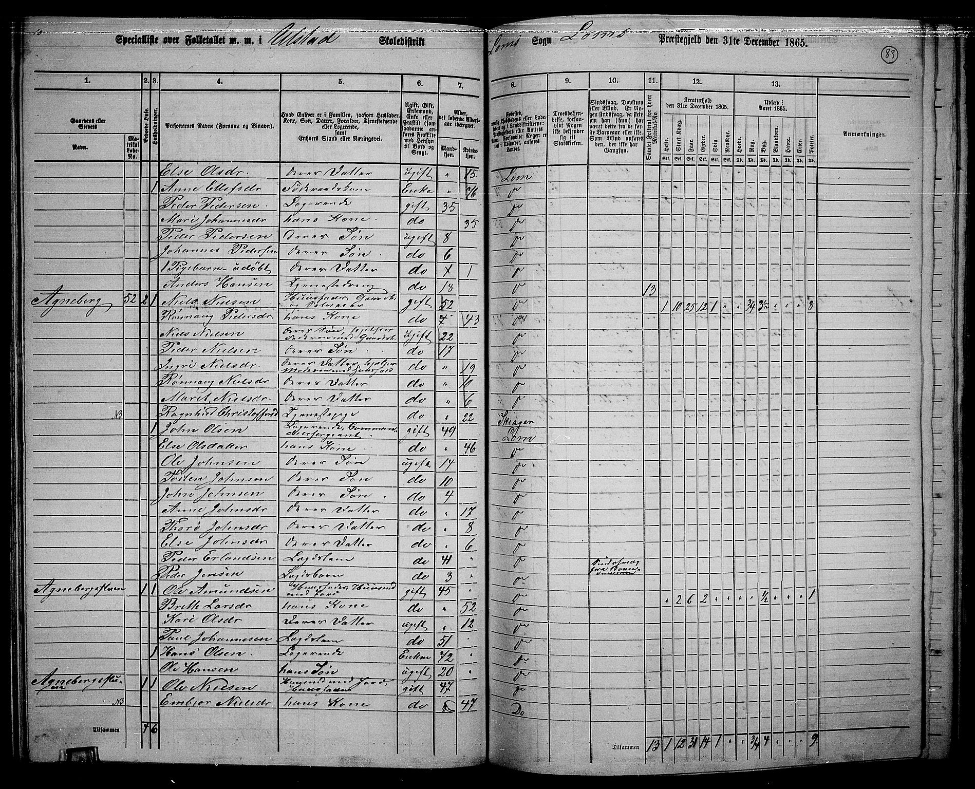 RA, 1865 census for Lom, 1865, p. 76