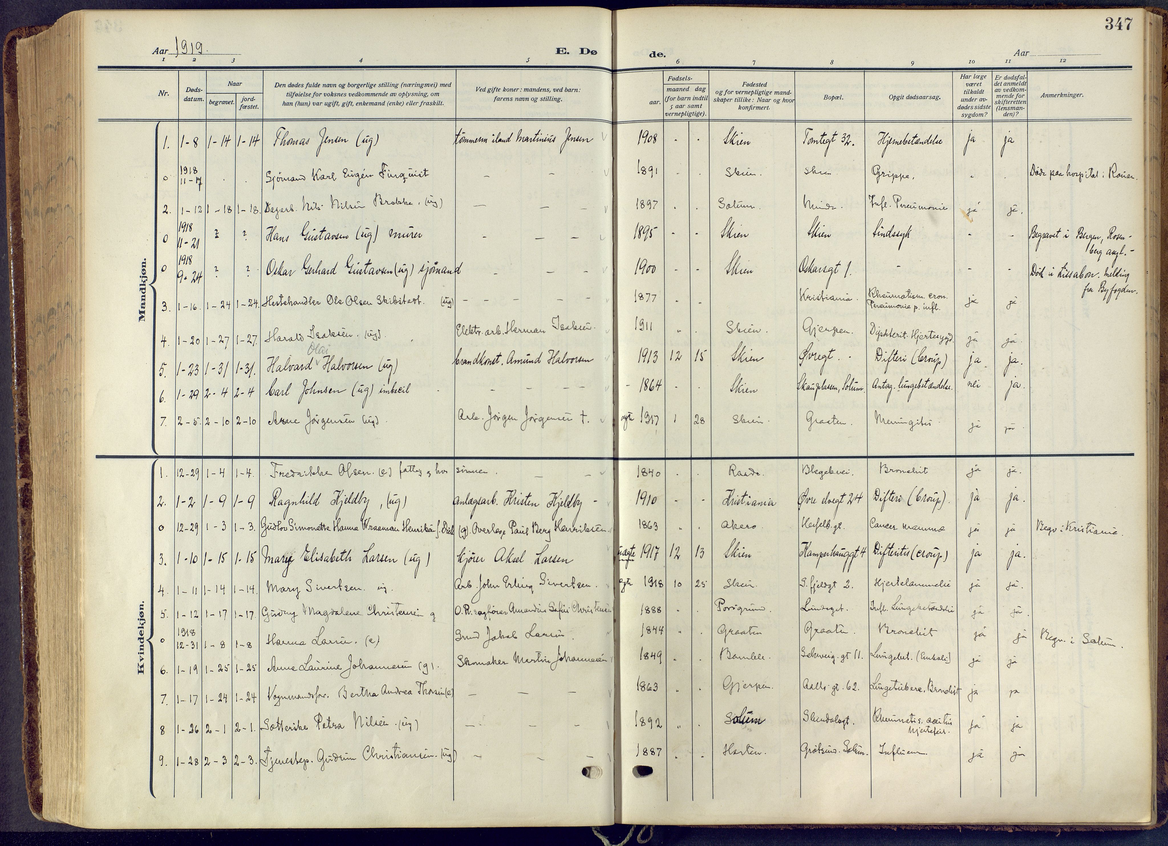 Skien kirkebøker, SAKO/A-302/F/Fa/L0013: Parish register (official) no. 13, 1915-1921, p. 347
