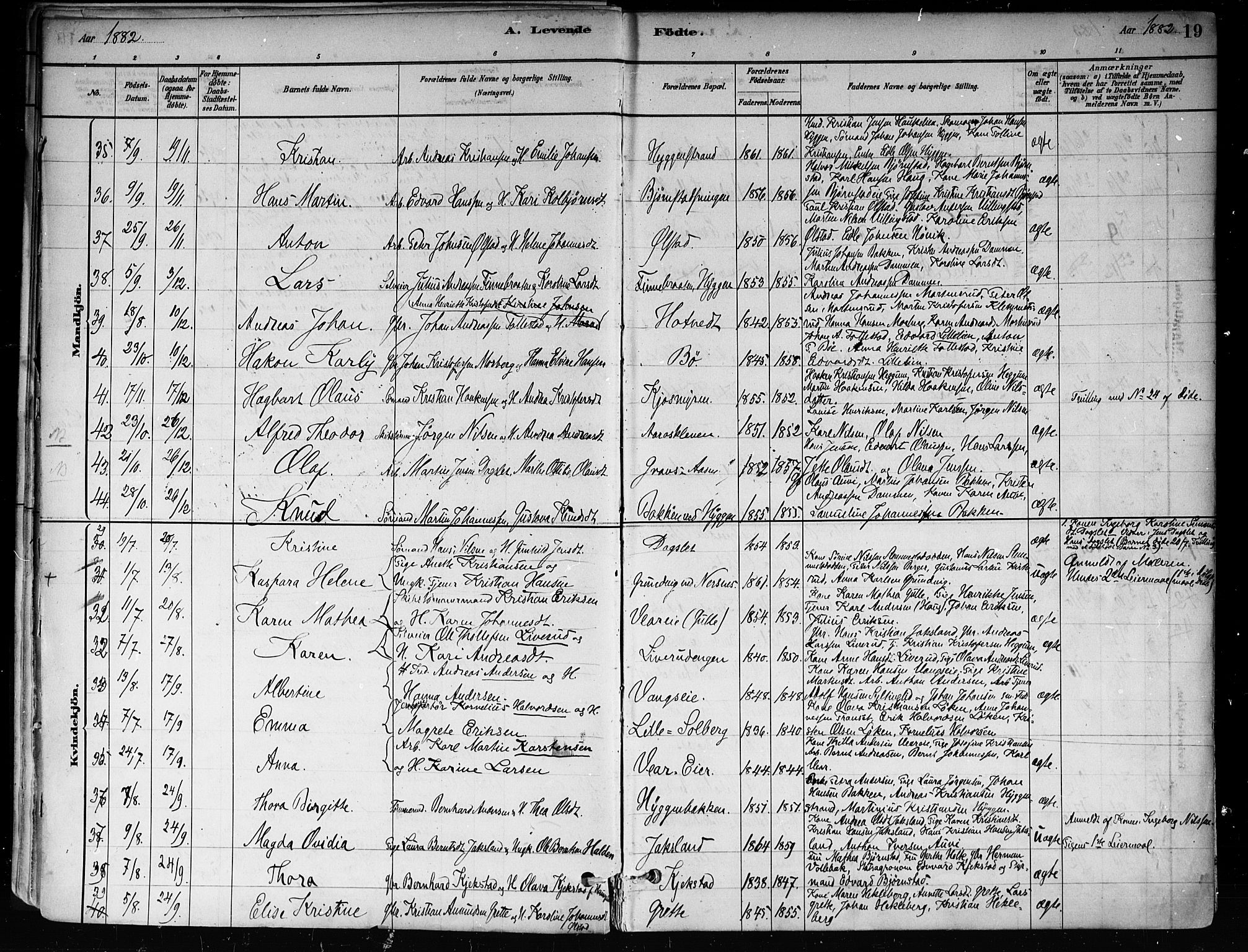 Røyken kirkebøker, AV/SAKO-A-241/F/Fa/L0008: Parish register (official) no. 8, 1880-1897, p. 19