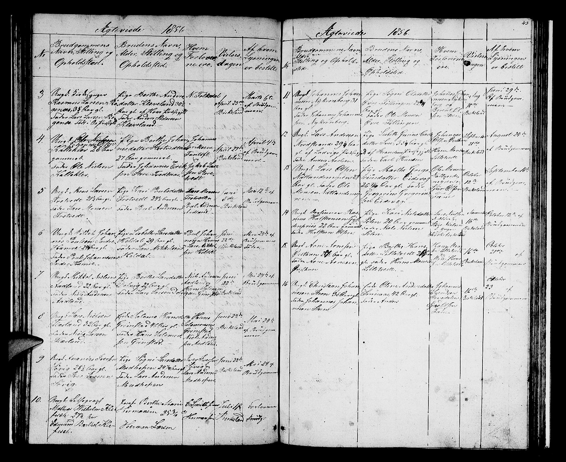 Birkeland Sokneprestembete, SAB/A-74601/H/Hab: Parish register (copy) no. A 1, 1853-1862, p. 43