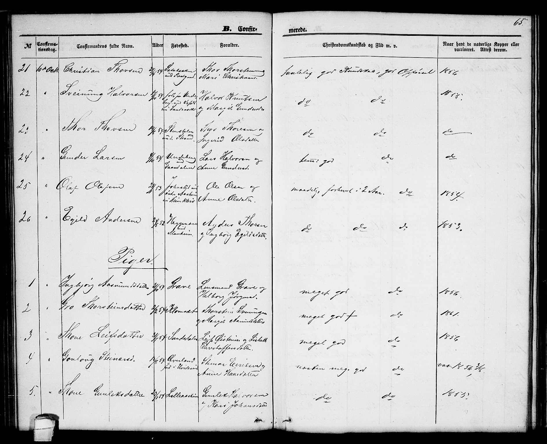 Seljord kirkebøker, AV/SAKO-A-20/G/Ga/L0003: Parish register (copy) no. I 3, 1866-1873, p. 65