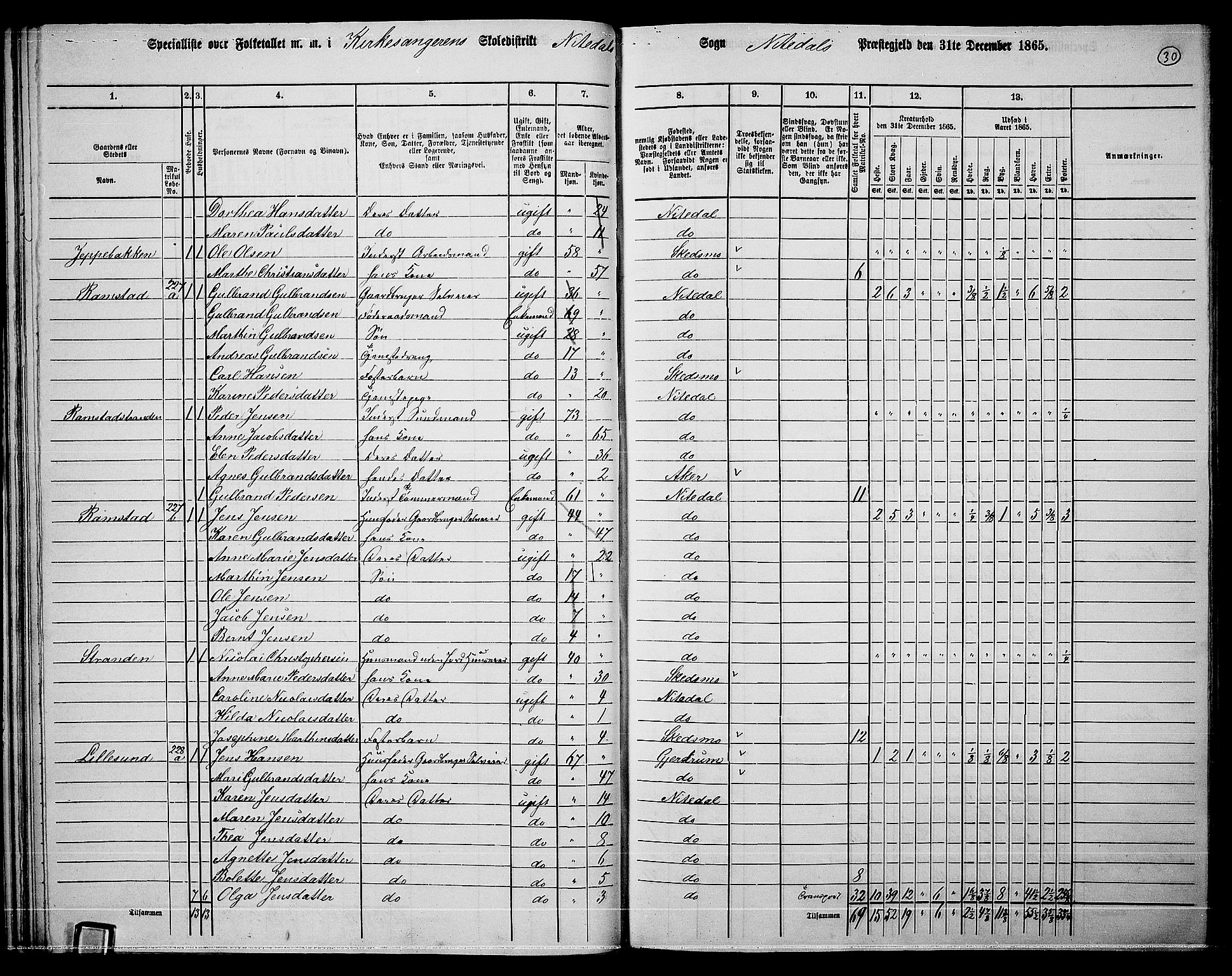 RA, 1865 census for Nittedal, 1865, p. 31