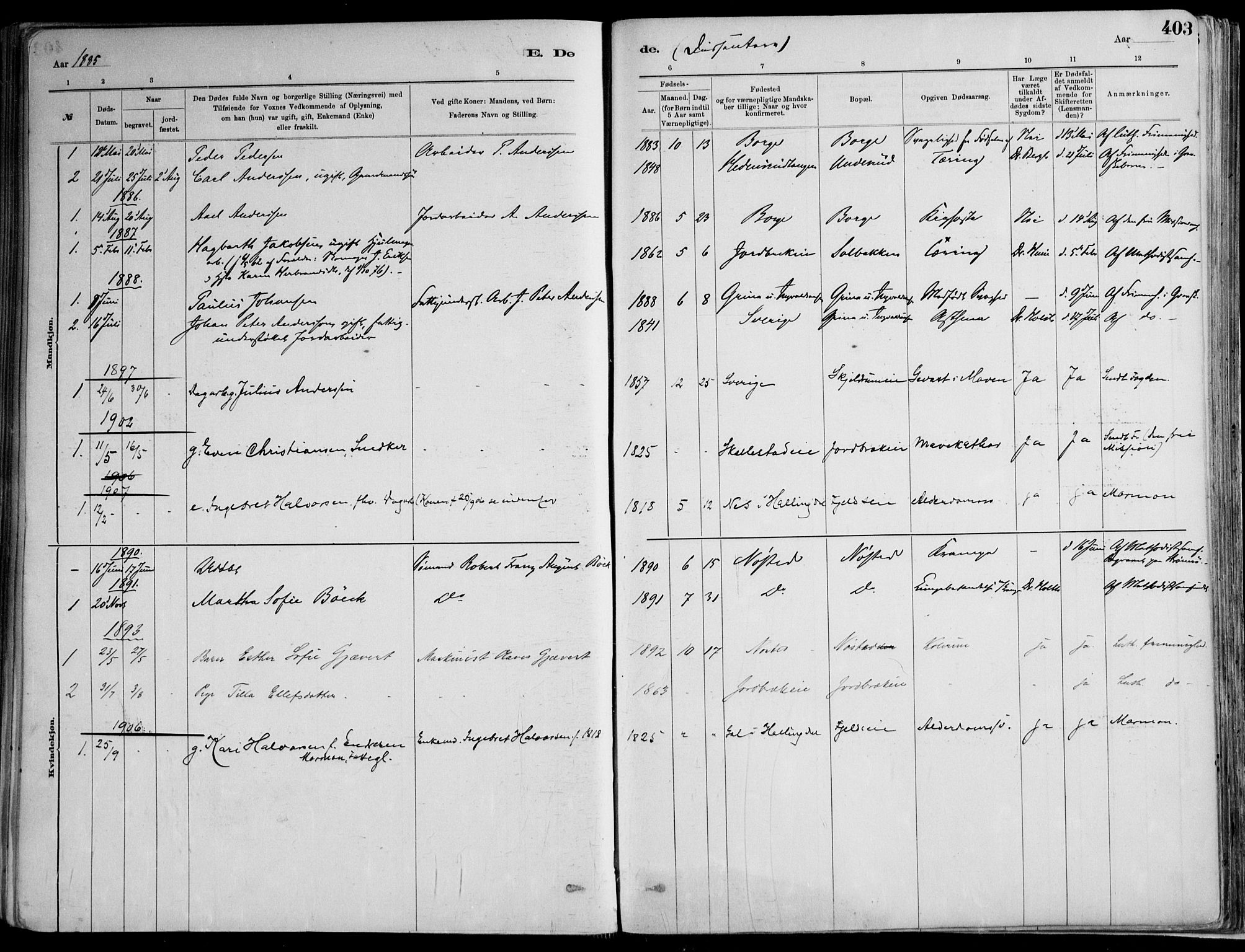 Skoger kirkebøker, AV/SAKO-A-59/F/Fa/L0006: Parish register (official) no. I 6, 1885-1910, p. 403