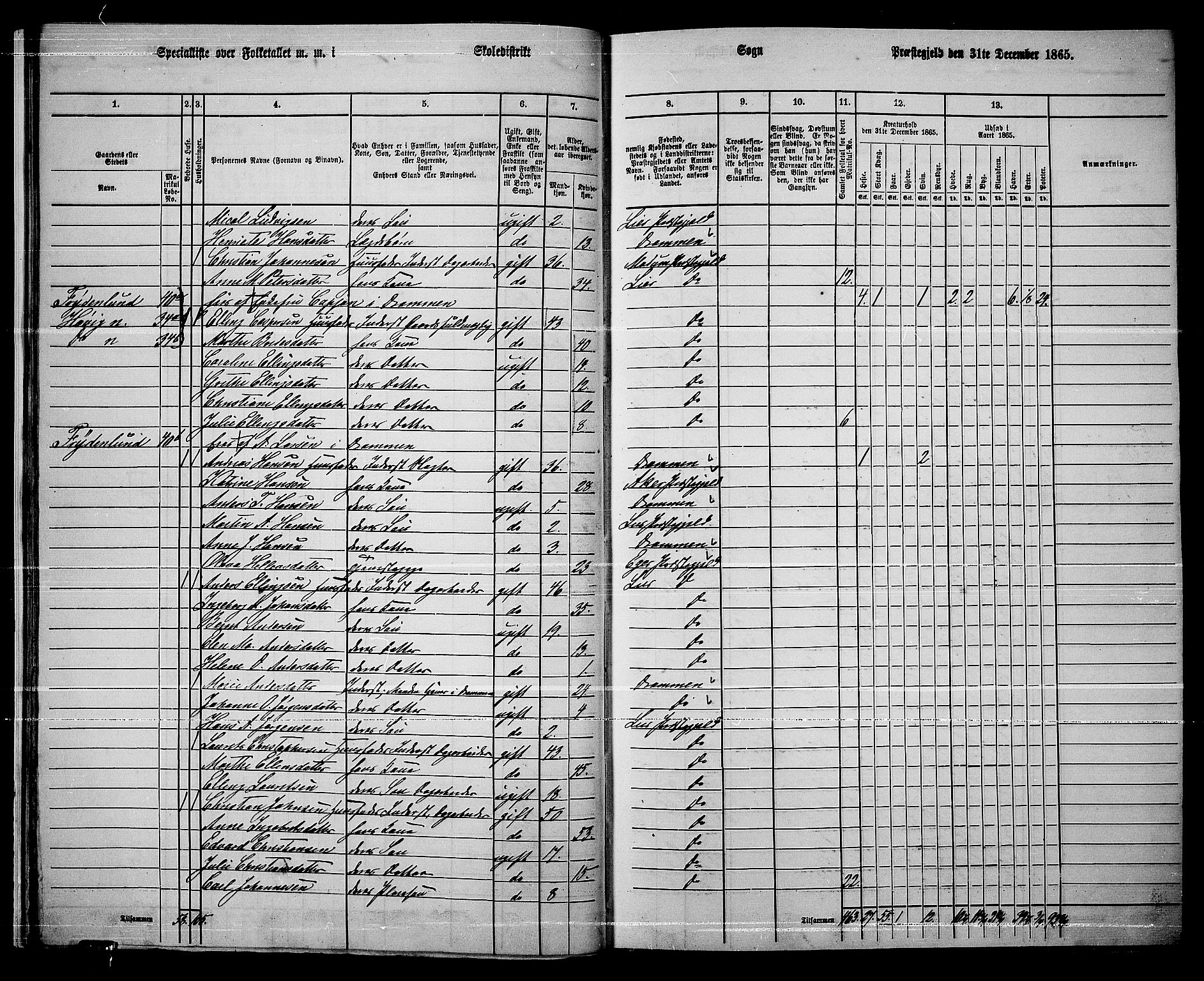 RA, 1865 census for Lier, 1865, p. 32