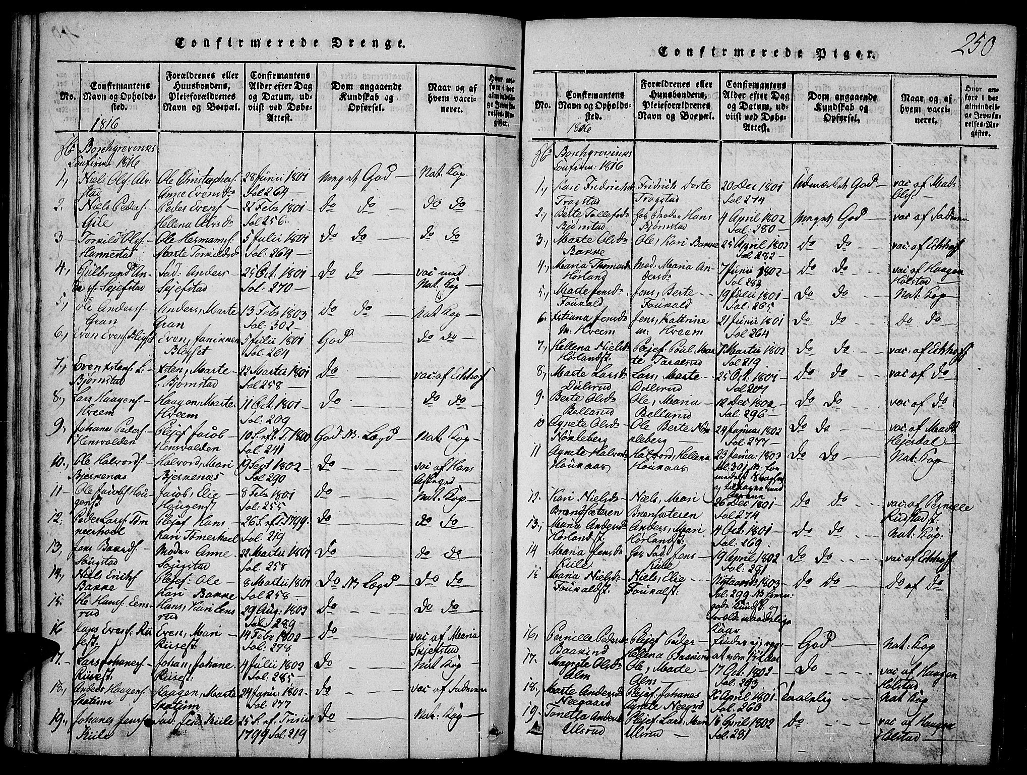 Toten prestekontor, SAH/PREST-102/H/Ha/Haa/L0009: Parish register (official) no. 9, 1814-1820, p. 250