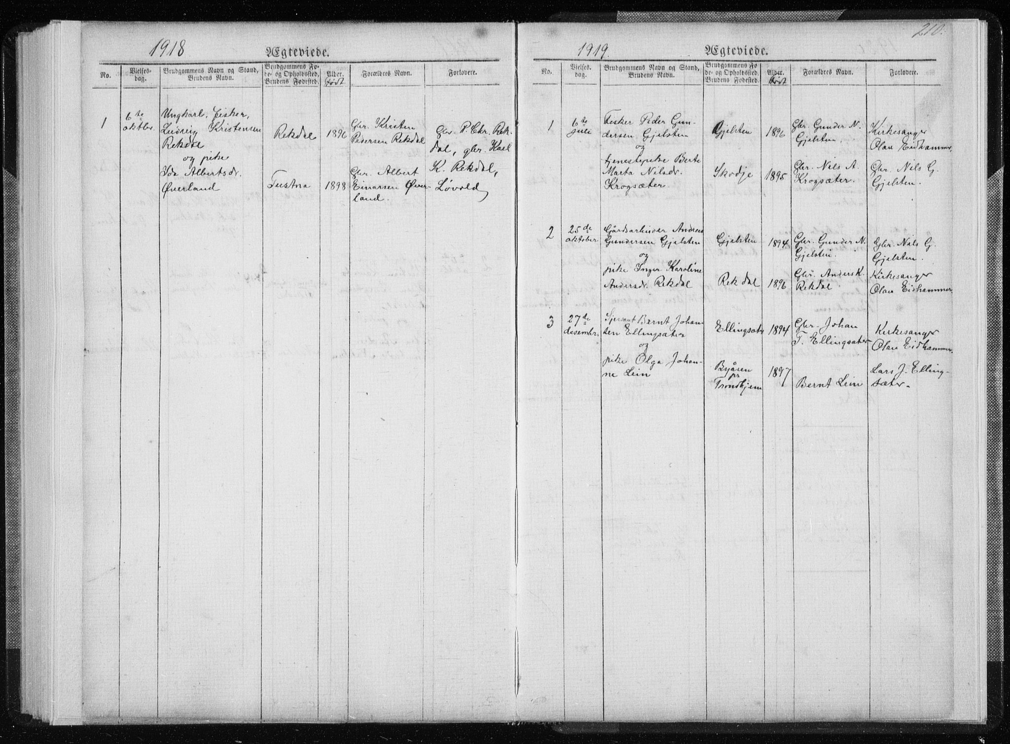 Ministerialprotokoller, klokkerbøker og fødselsregistre - Møre og Romsdal, SAT/A-1454/540/L0541: Parish register (copy) no. 540C01, 1867-1920, p. 210