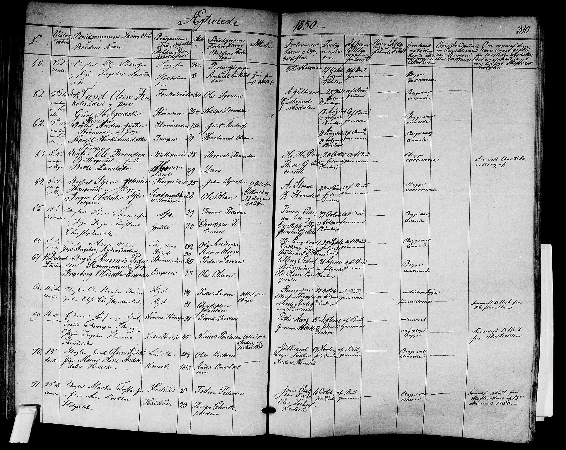 Norderhov kirkebøker, AV/SAKO-A-237/F/Fa/L0011: Parish register (official) no. 11, 1847-1856, p. 310