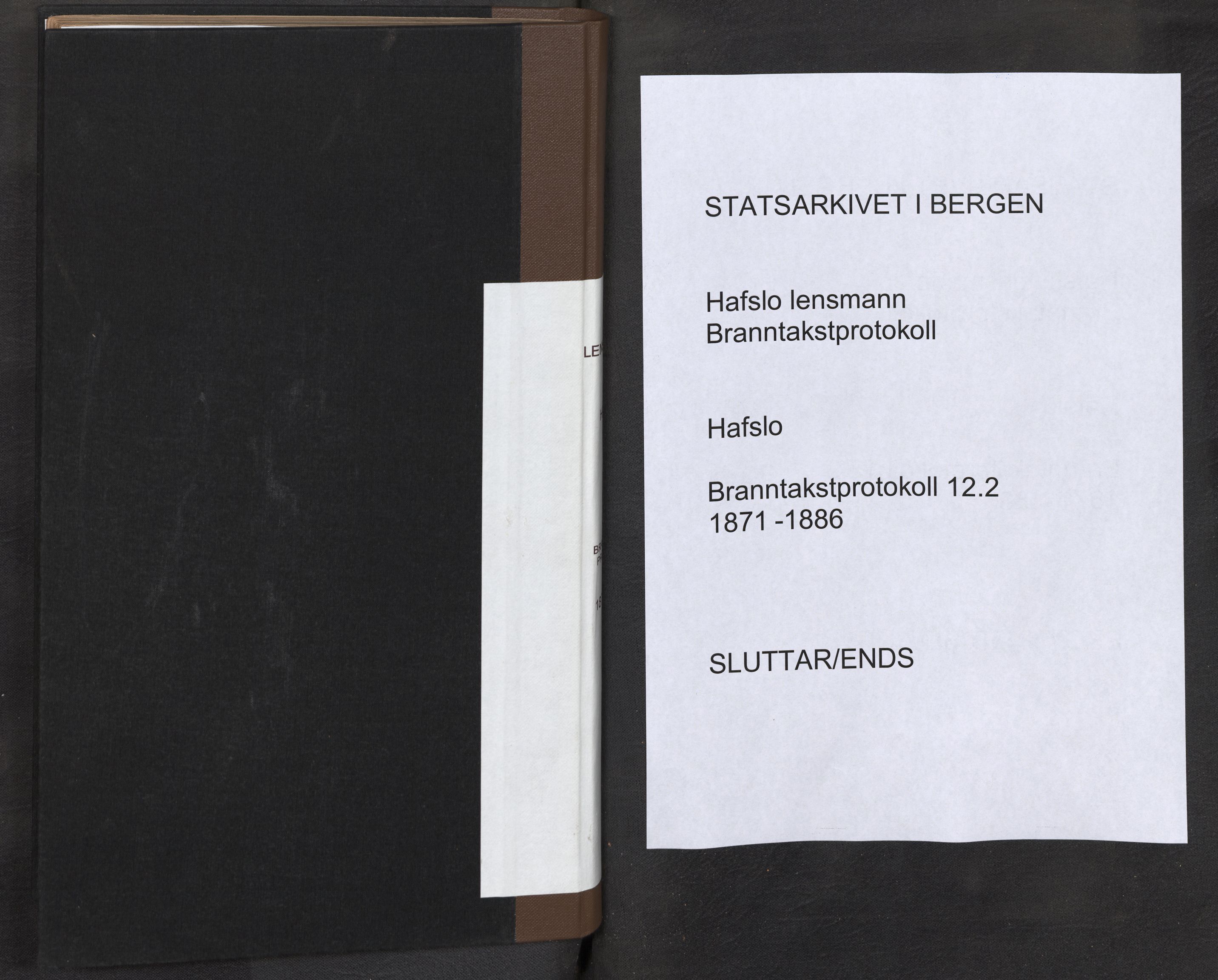 Lensmannen i Hafslo, AV/SAB-A-28001/0012/L0002: Branntakstprotokoll, 1871-1886